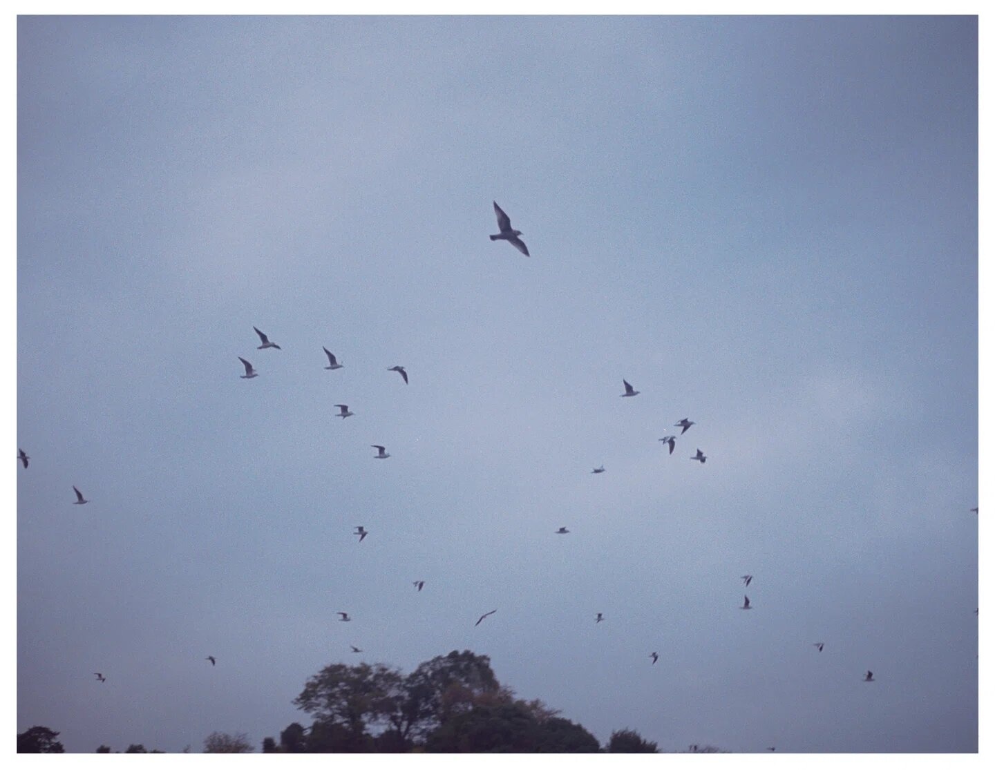 Sach anh ve con nguoi anh 6