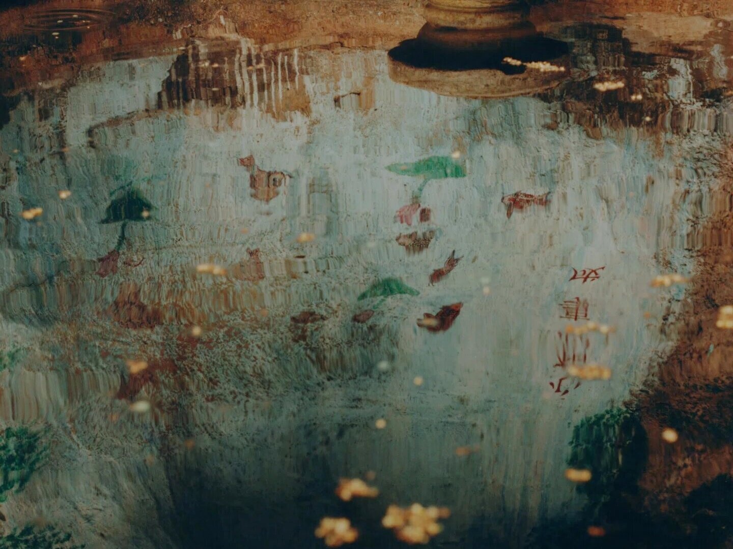 Loat anh ngoi ca ve dep diu dang cua doi song hinh anh