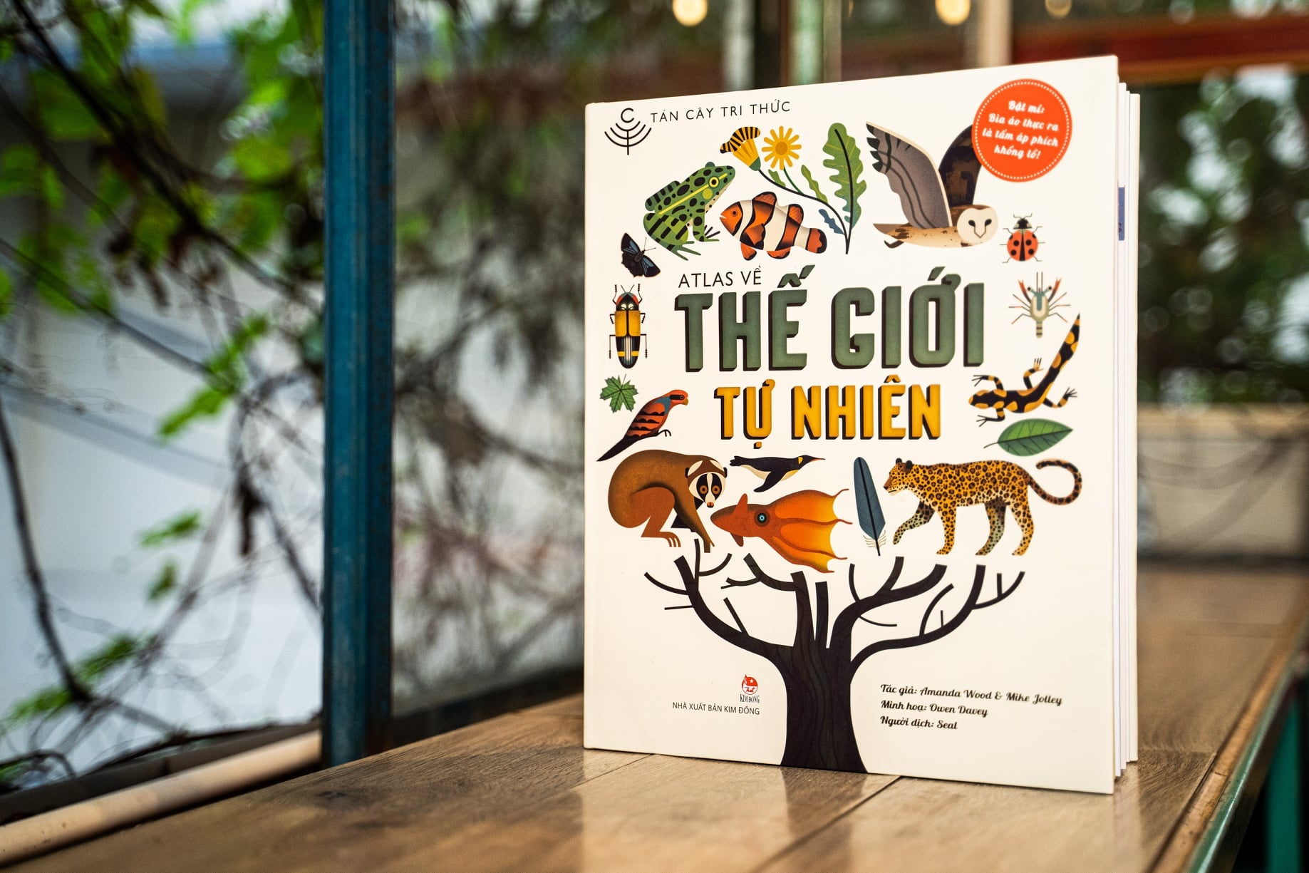 Ve dep huyen bi cua the gioi tu nhien hinh anh