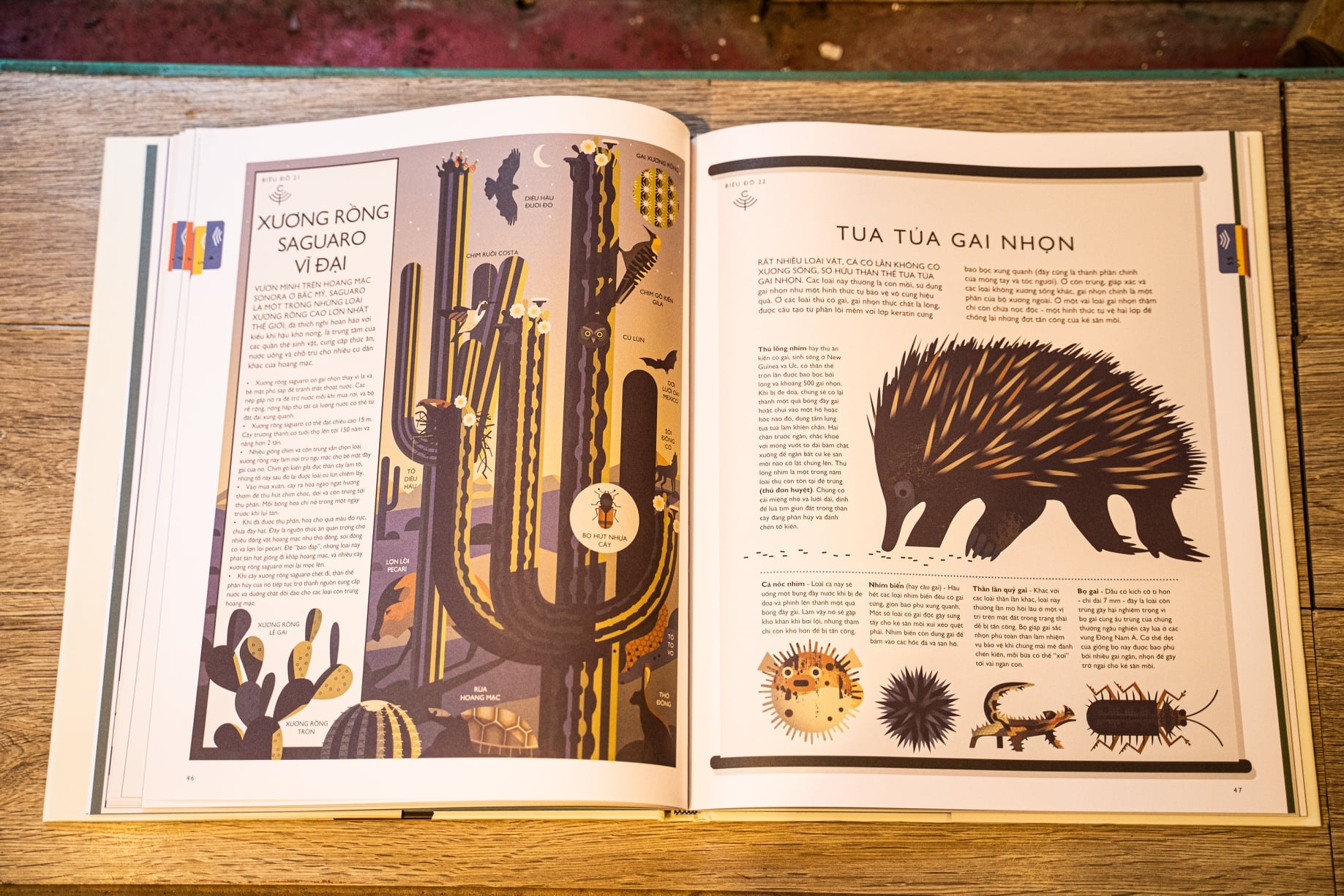 Atlas ve the gioi tu nhien anh 2