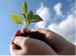 ‘Nguoi trong rung’ truyen cam hung ve tinh yeu thien nhien hinh anh