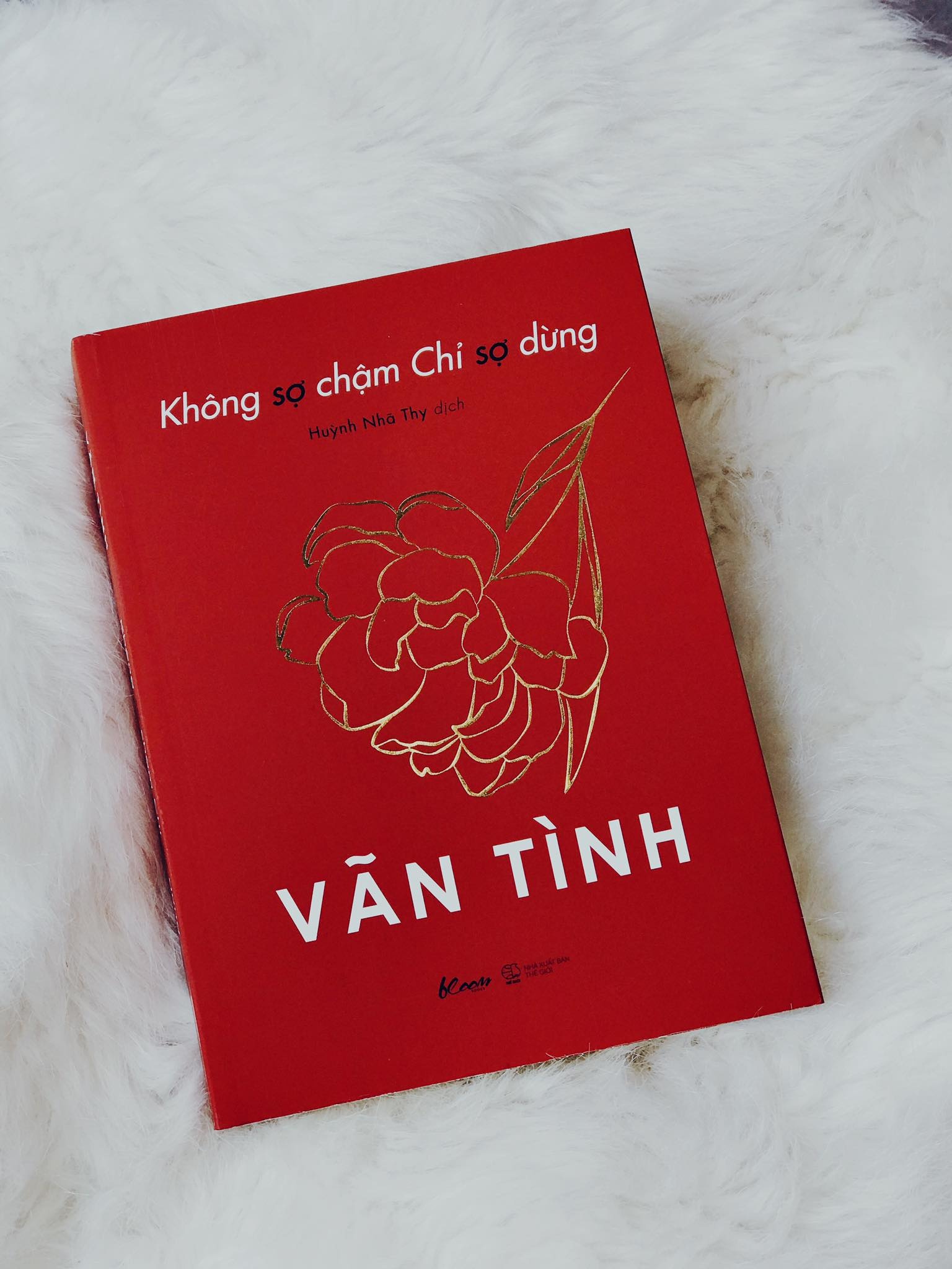 Khong so cham chi so dung anh 1