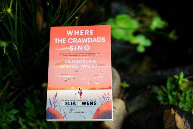 Nghi luc va dam me giup nhung nguoi phu nu cam but hinh anh