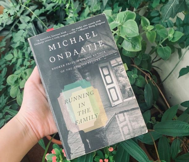 Dat nuoc Sri Lanka trong trang van hinh anh