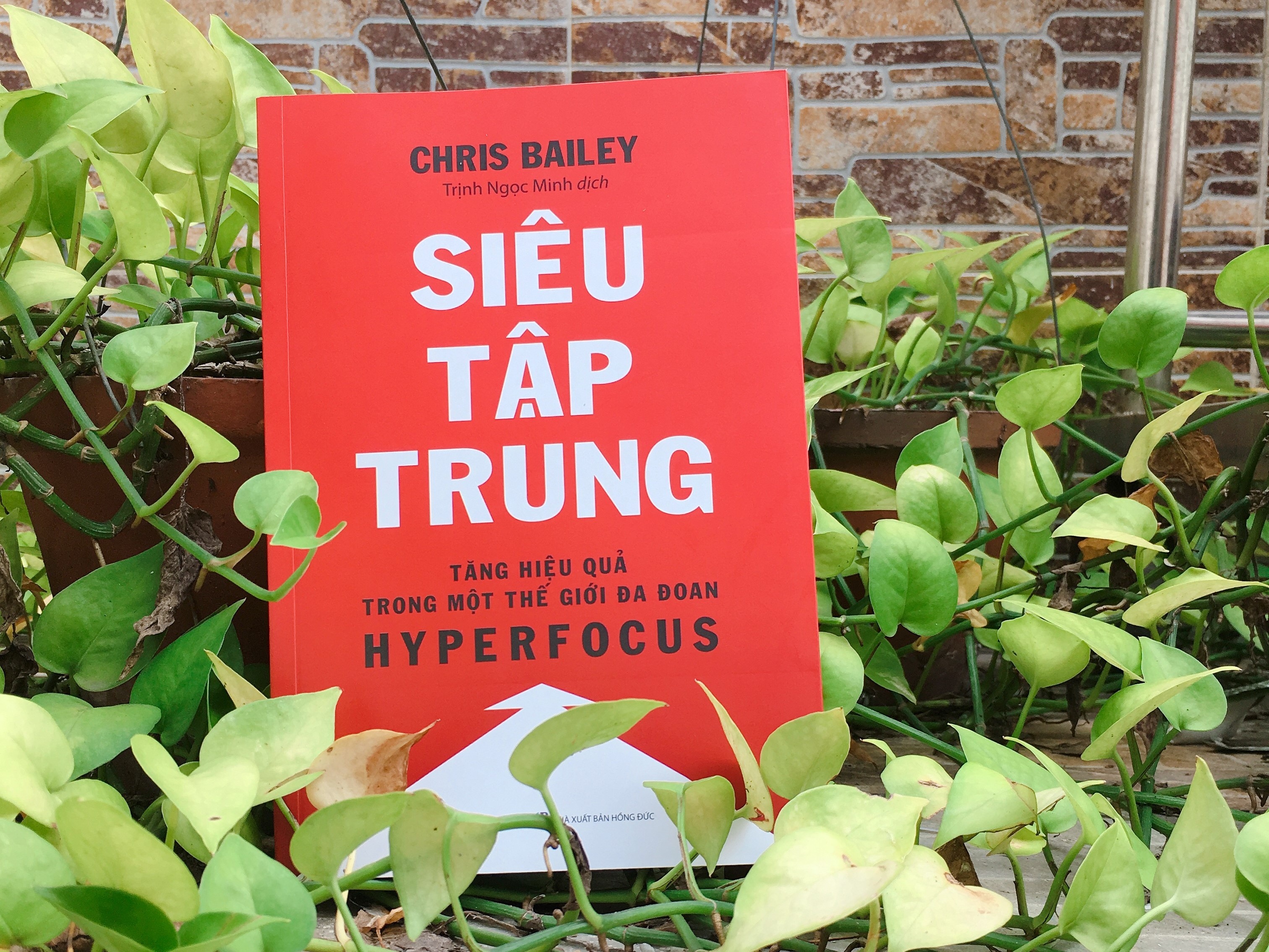 Sieu tap trung anh 1