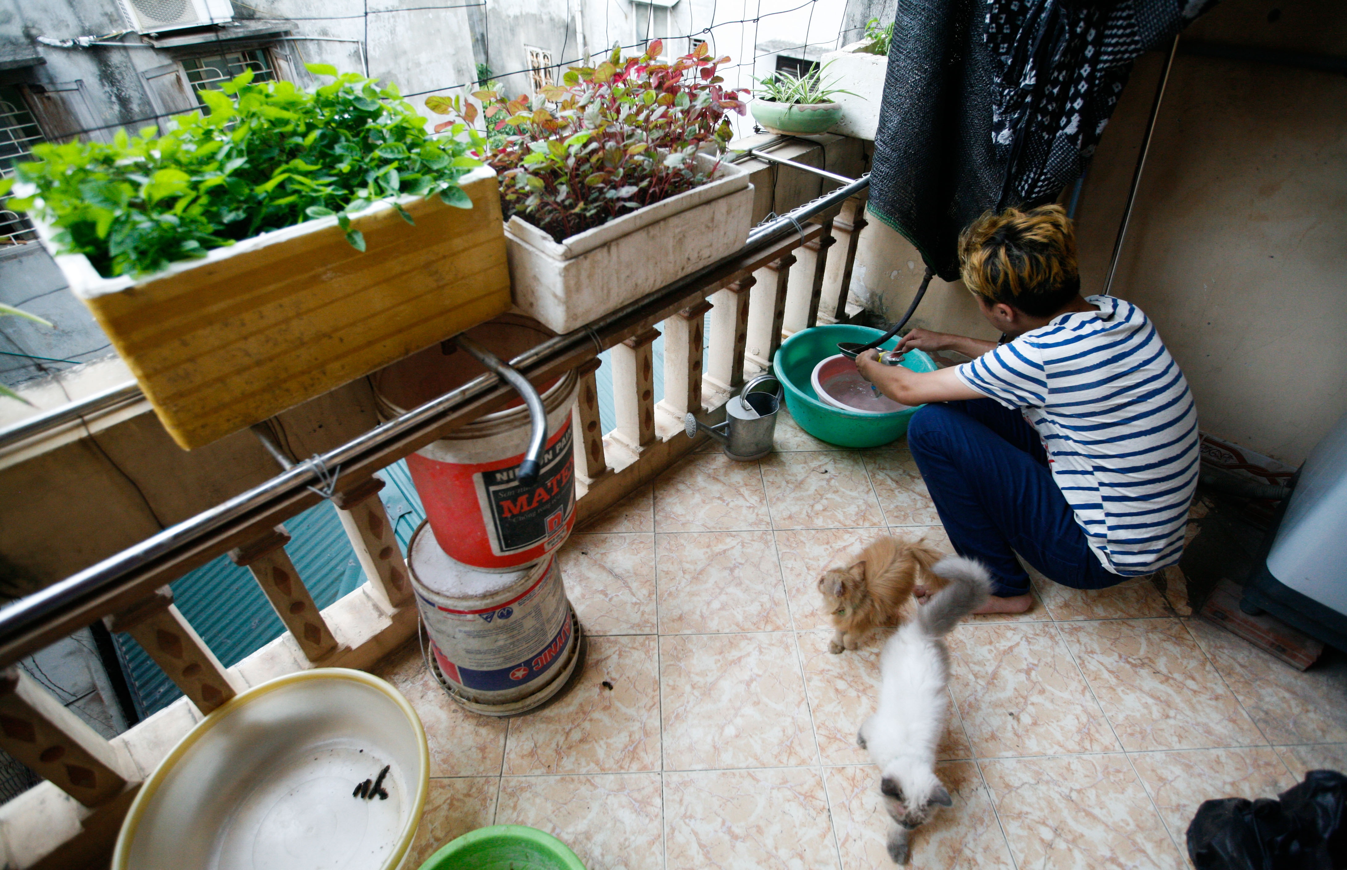 Cuoc song nguoi chuyen gioi anh 4