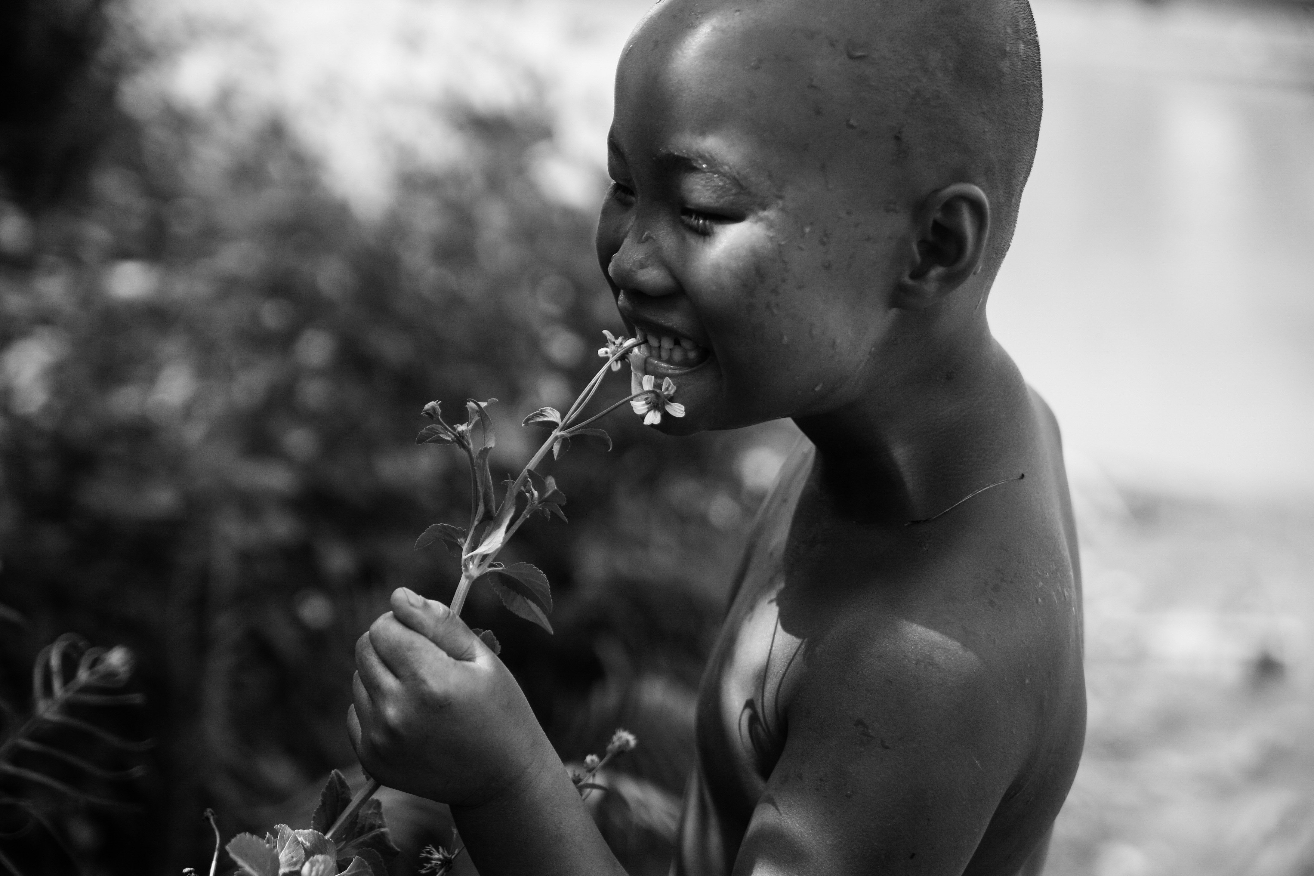 bo lac nguyen thuy anh 5