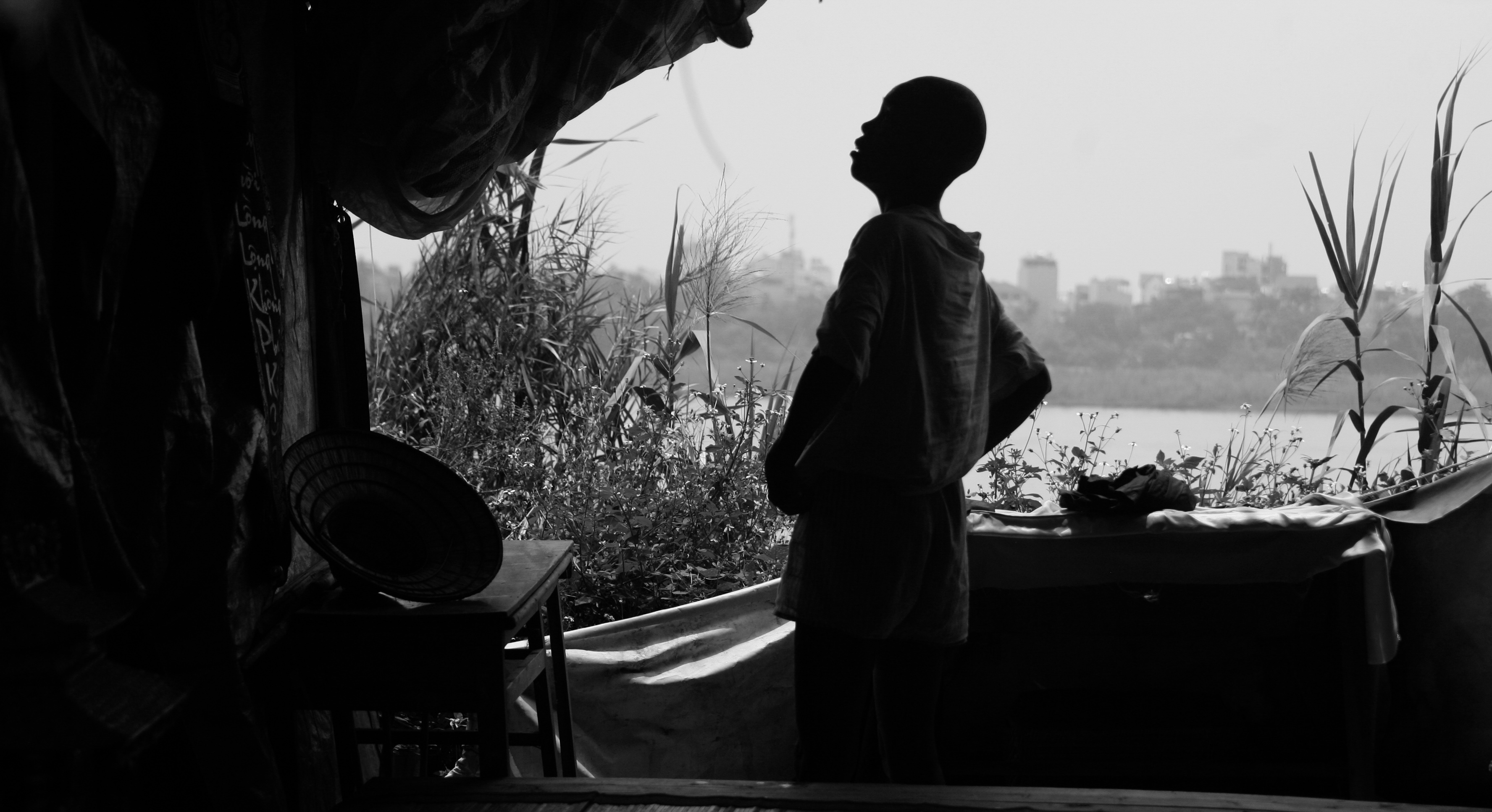 bo lac nguyen thuy anh 7