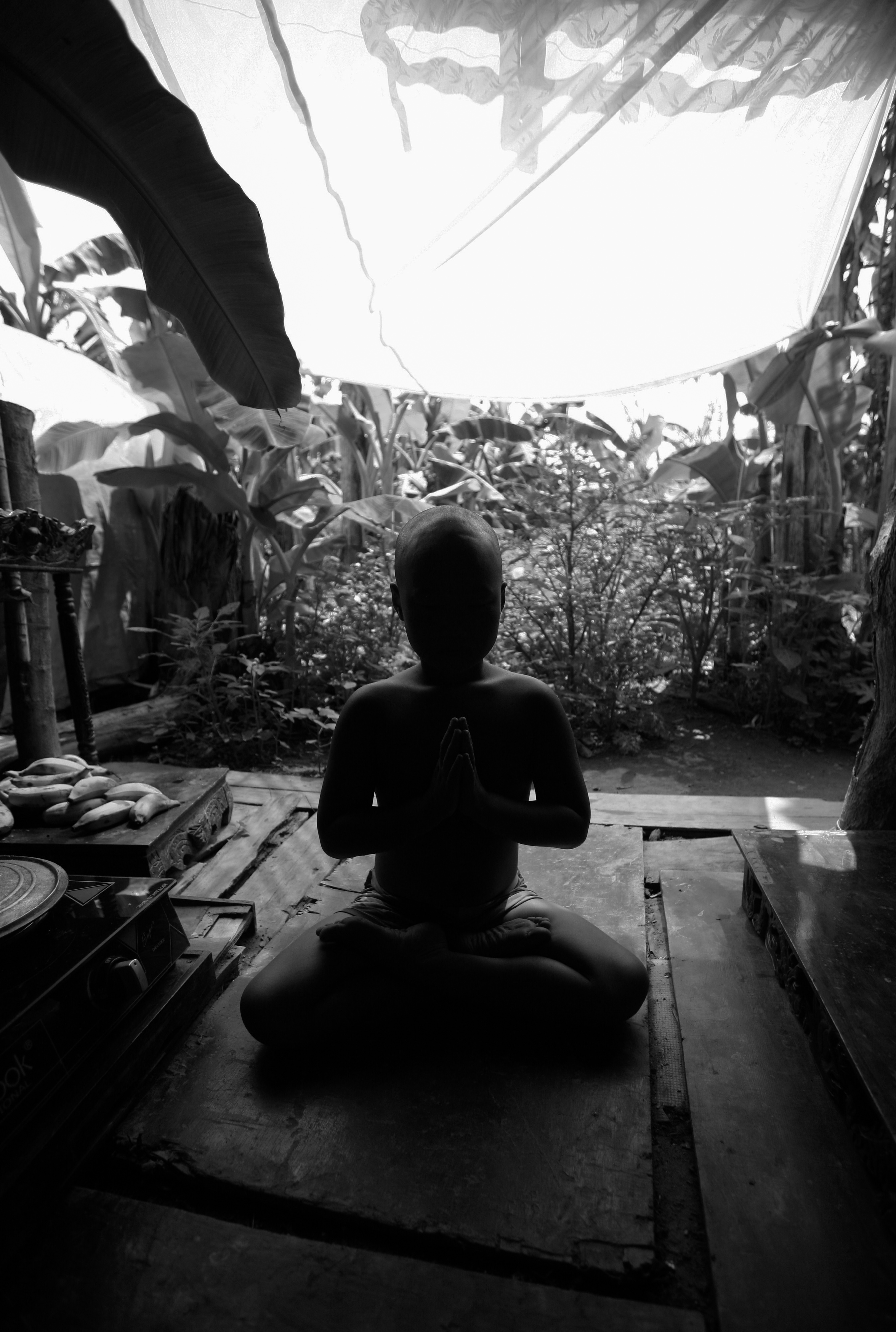 bo lac nguyen thuy anh 9