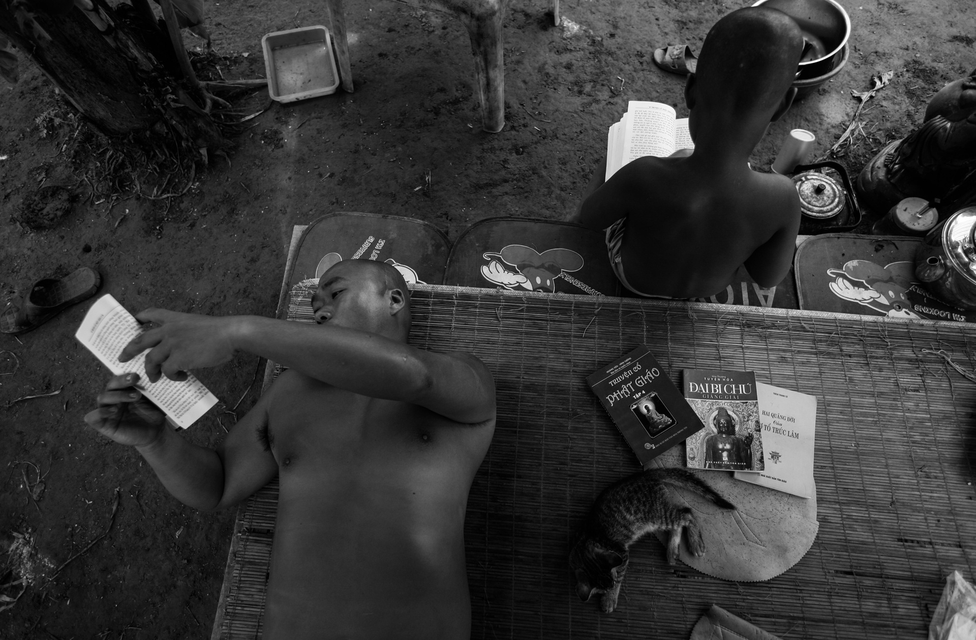 bo lac nguyen thuy anh 4