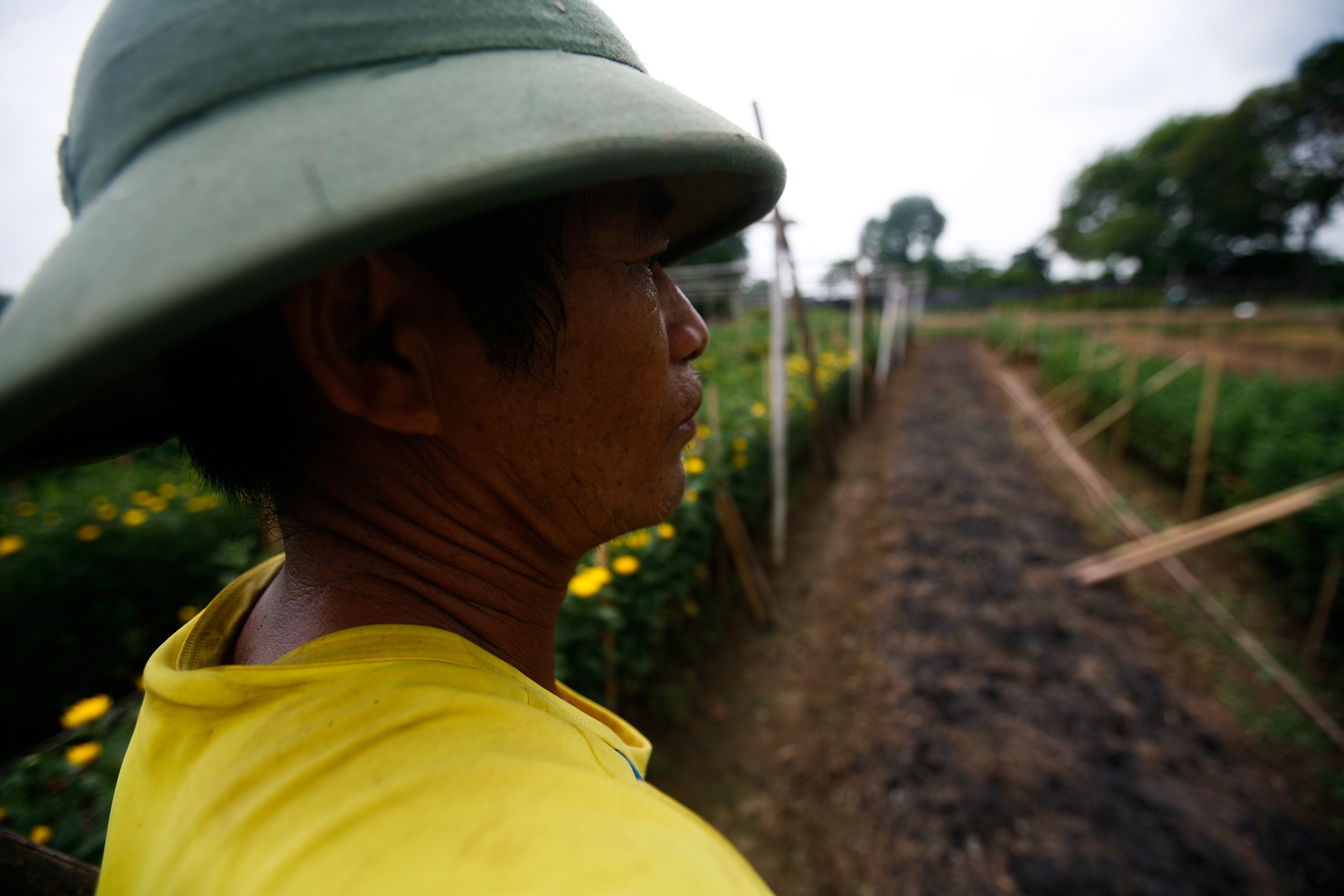 lang hoa Tay Tuu mat mua anh 19