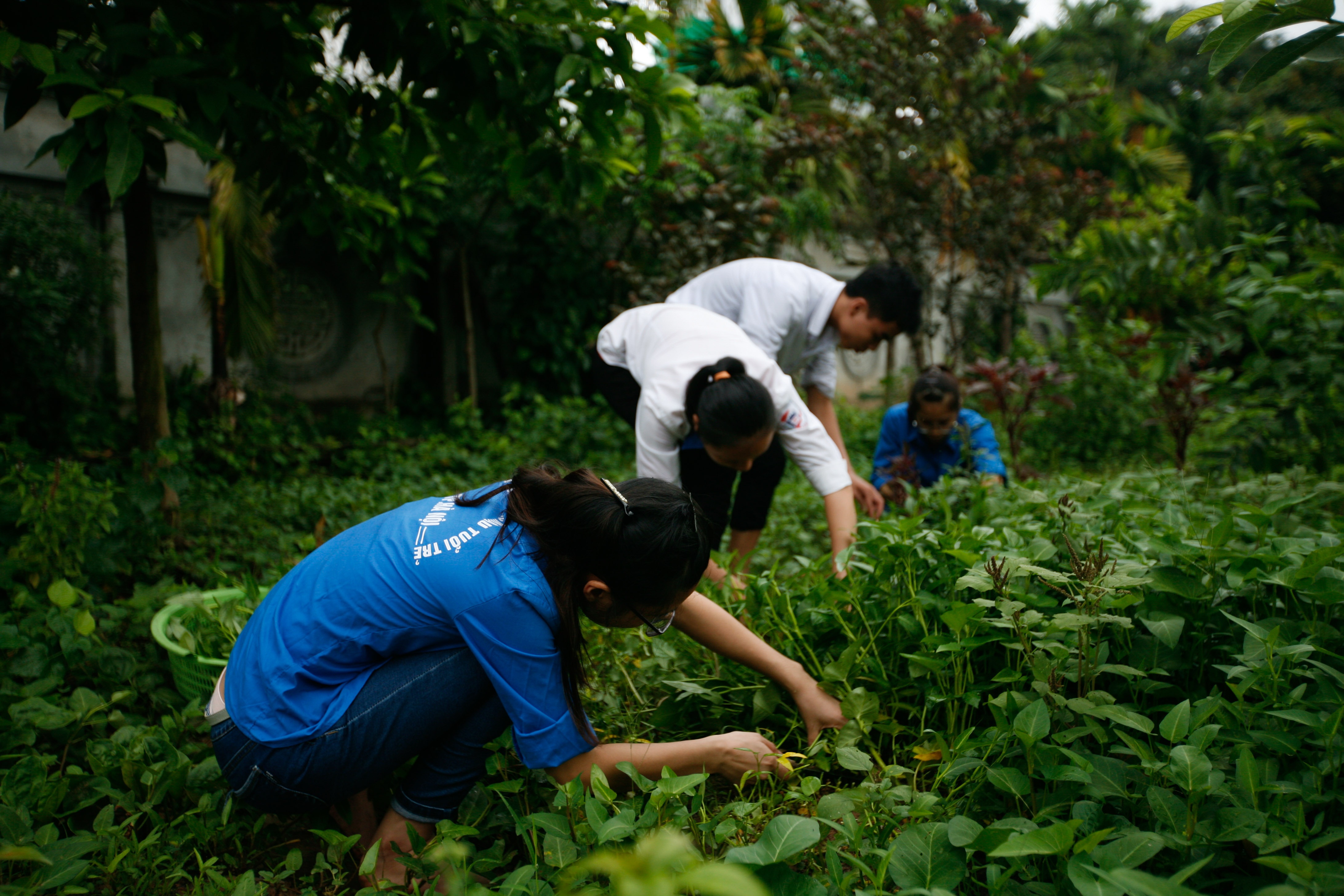 khu o tro mien phi thi dai hoc anh 1