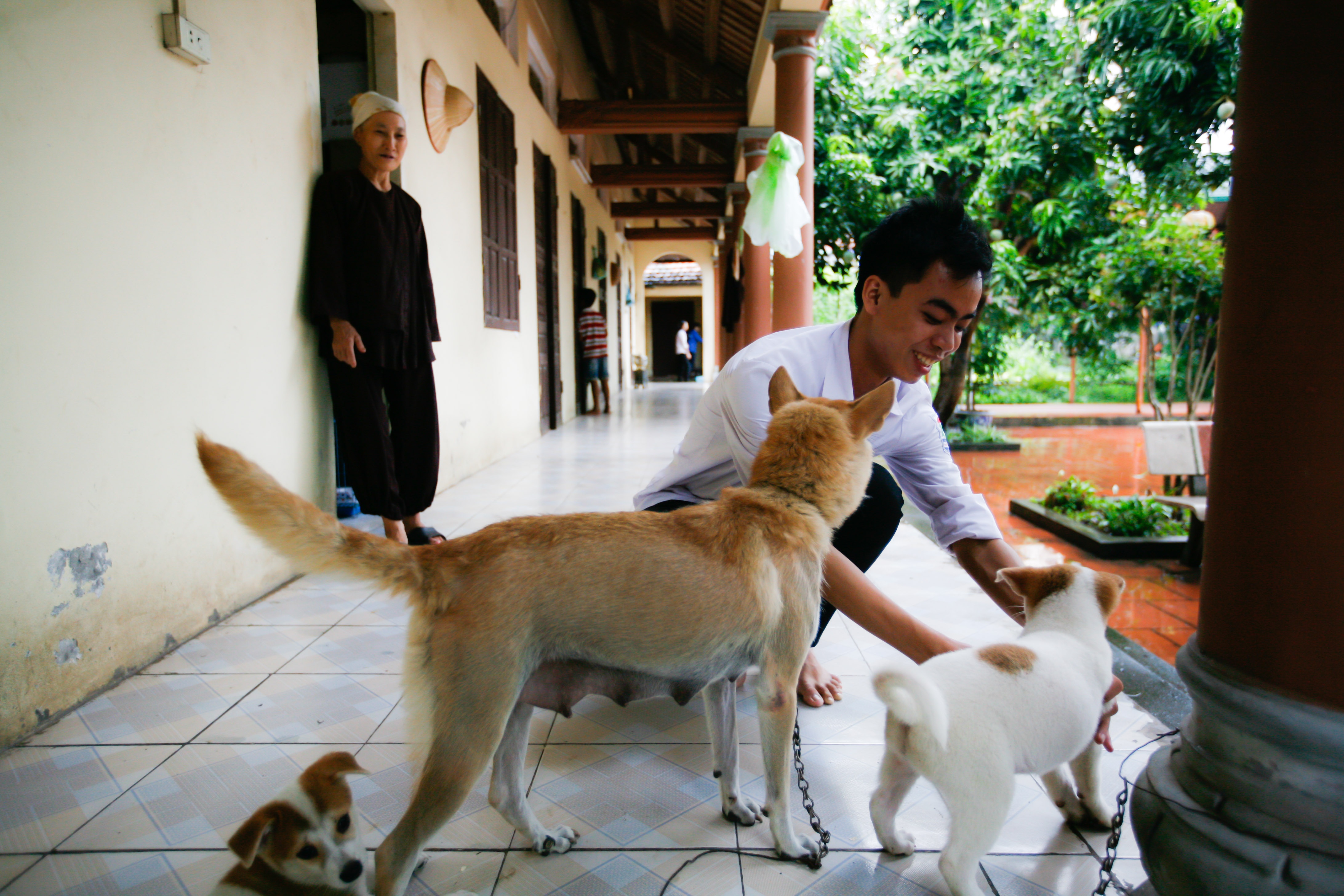 khu o tro mien phi thi dai hoc anh 6