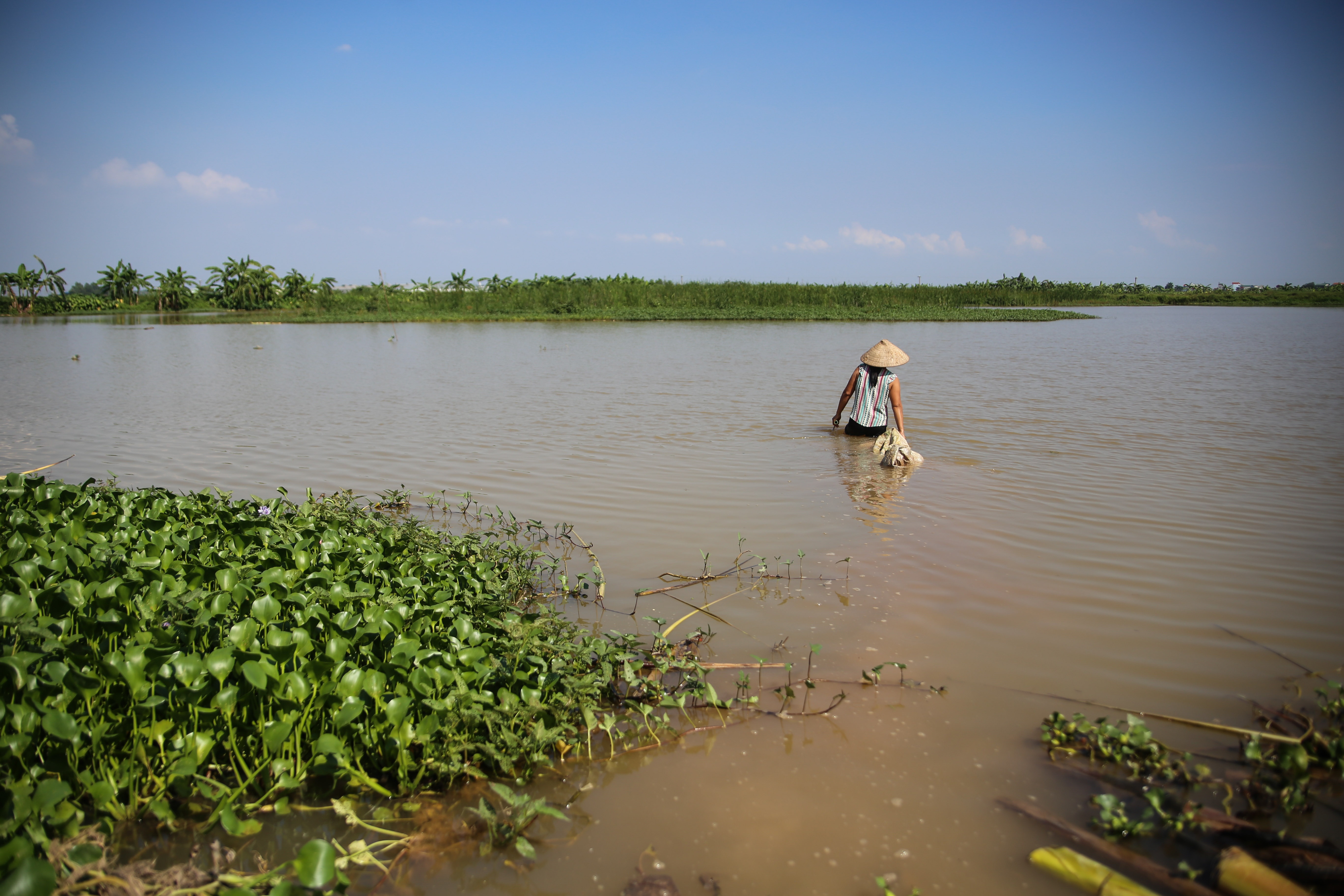 ba me sinh 14 dua con anh 19