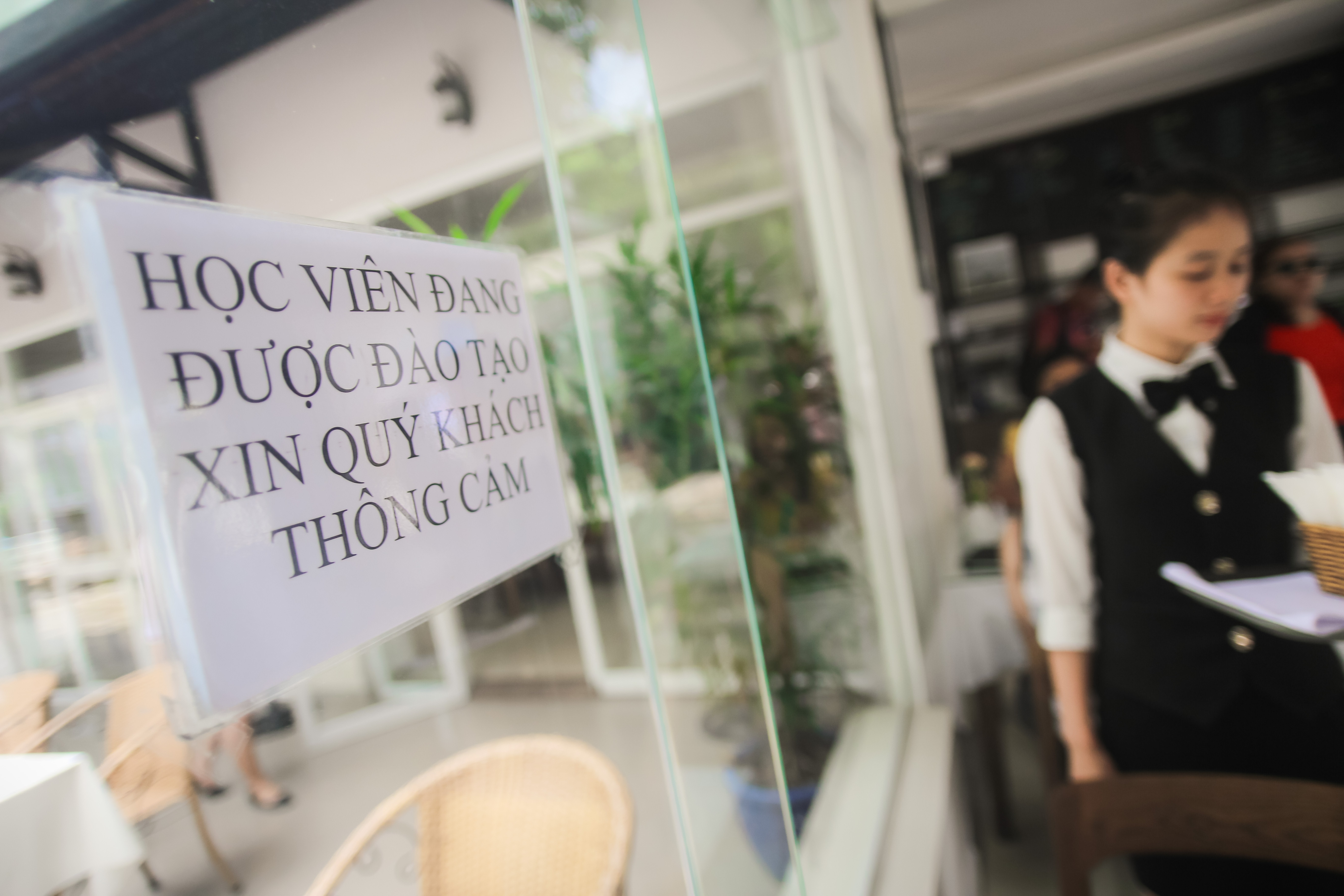 Đầu bếp Việt kiều mở trường miễn phí ảnh 4 Dau bep Viet kieu mo truong mien phi anh 4