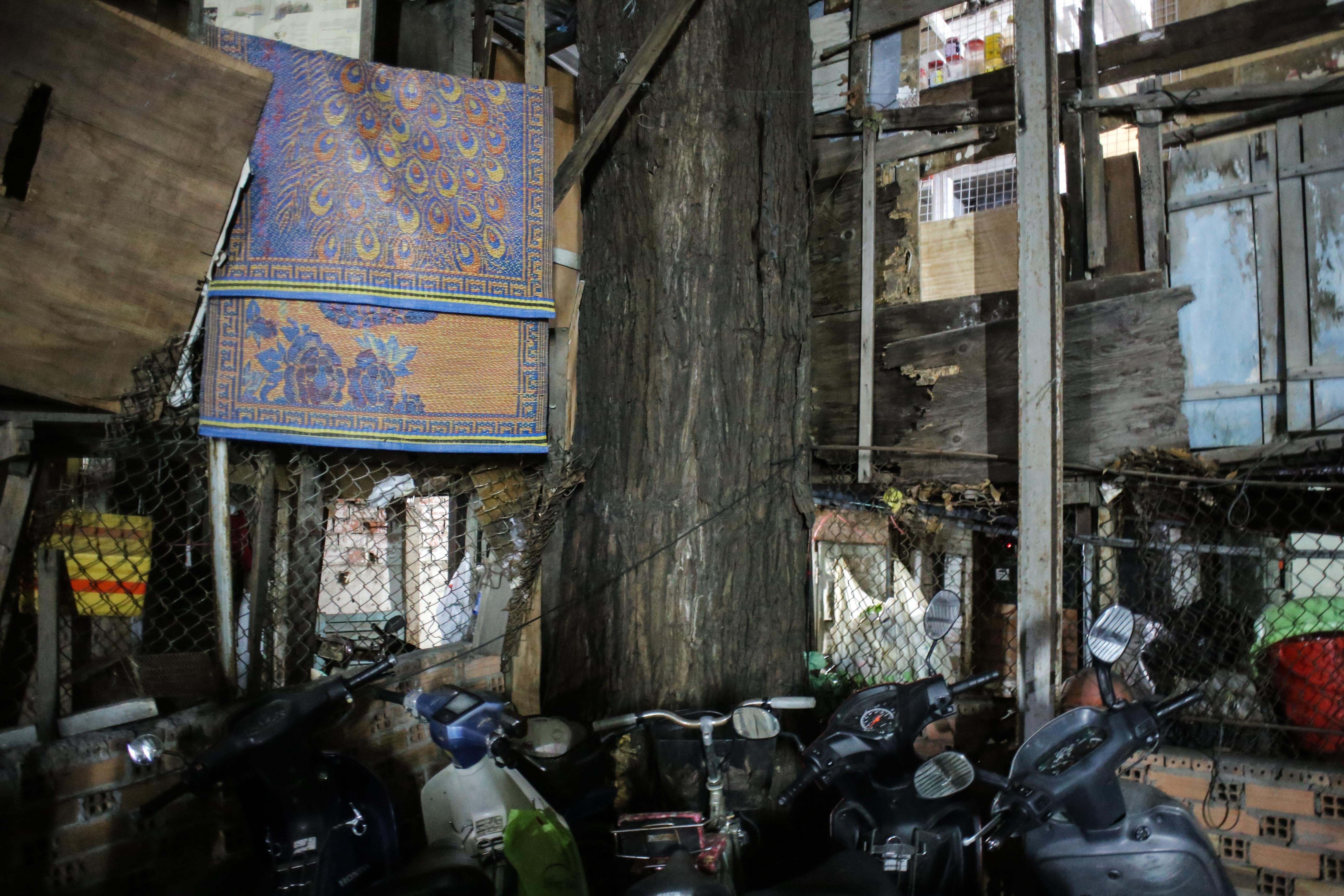 Nha om cay co thu anh 13