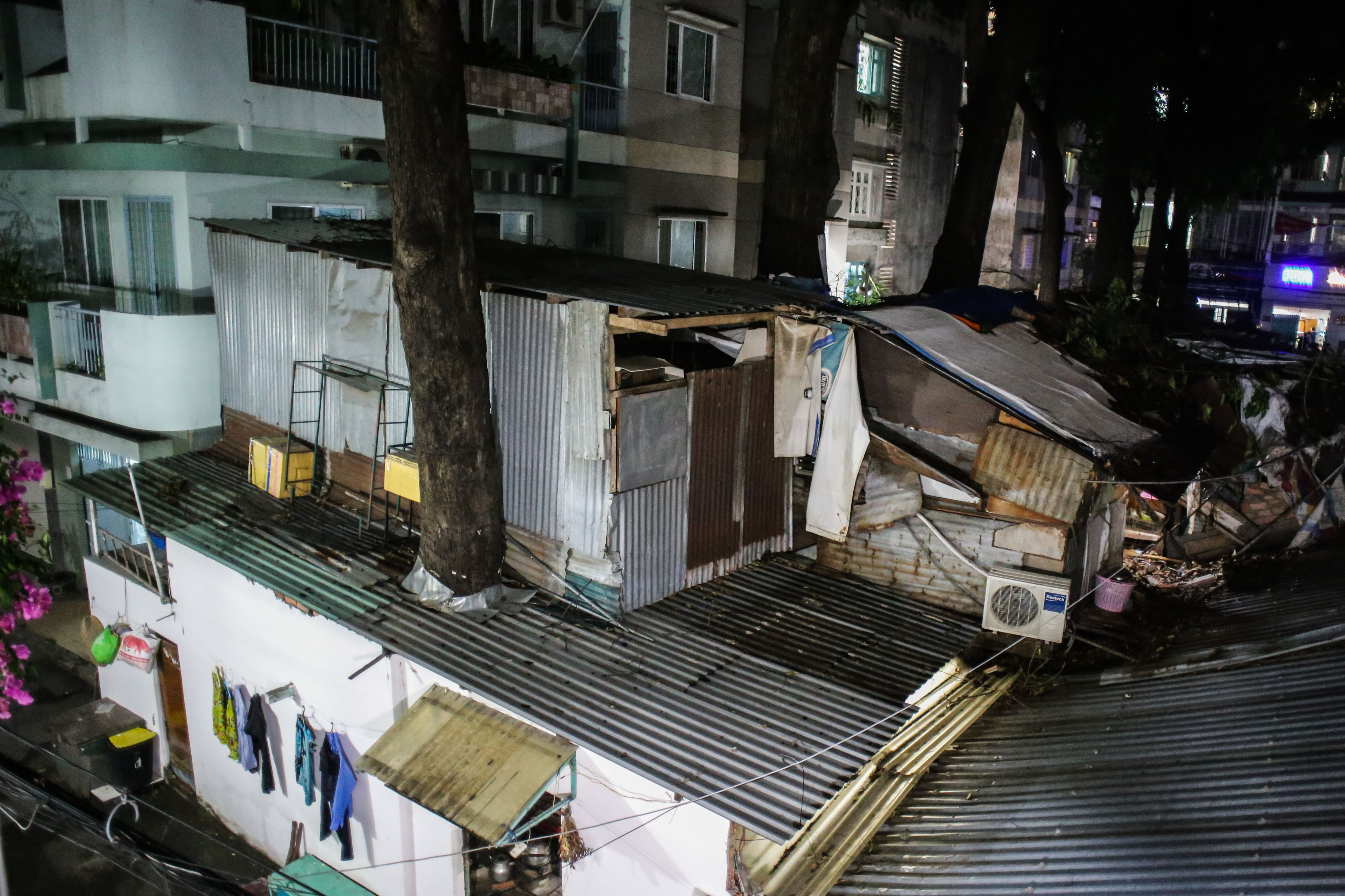 Nha om cay co thu anh 15