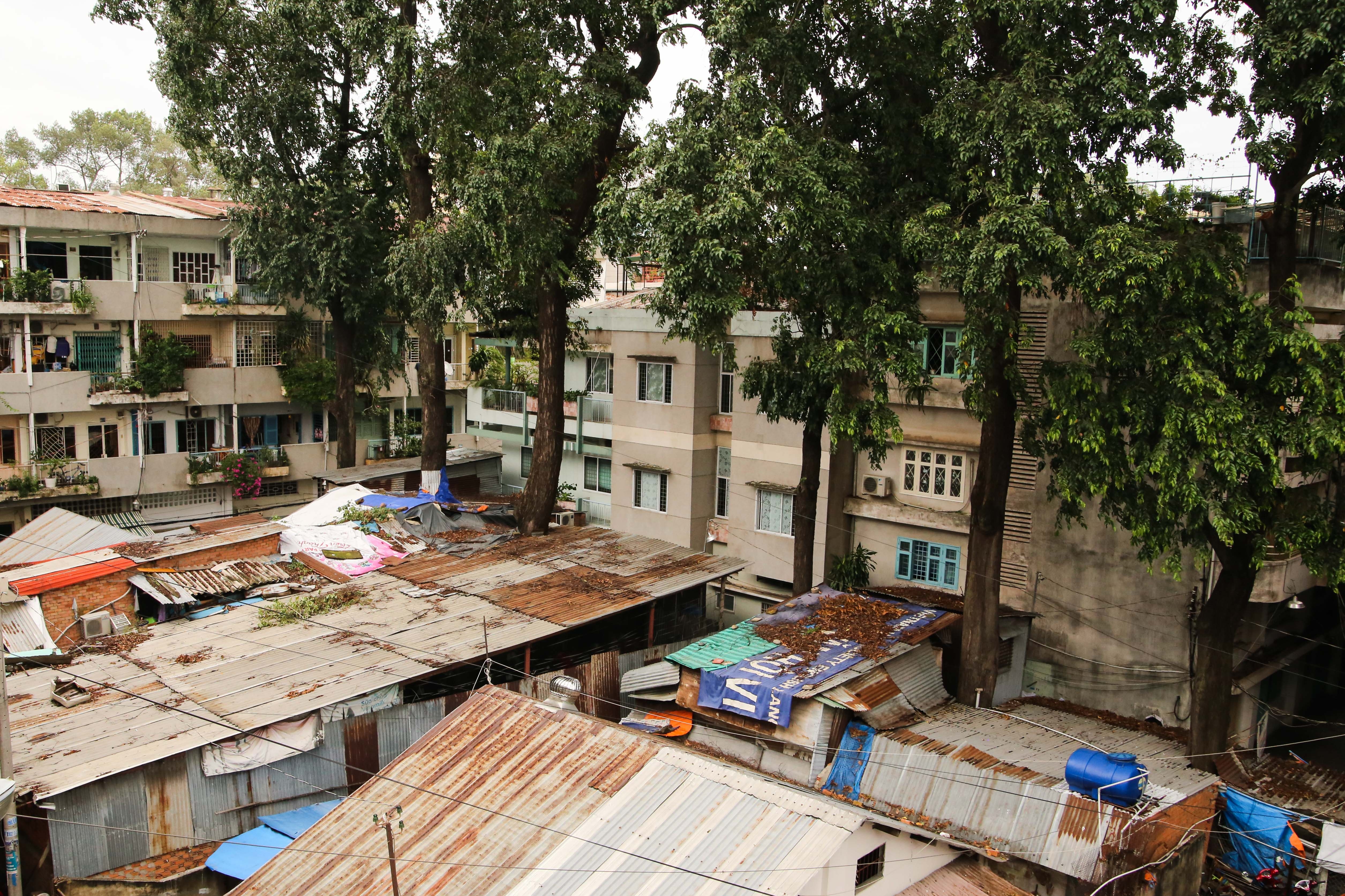 Nha om cay co thu anh 1