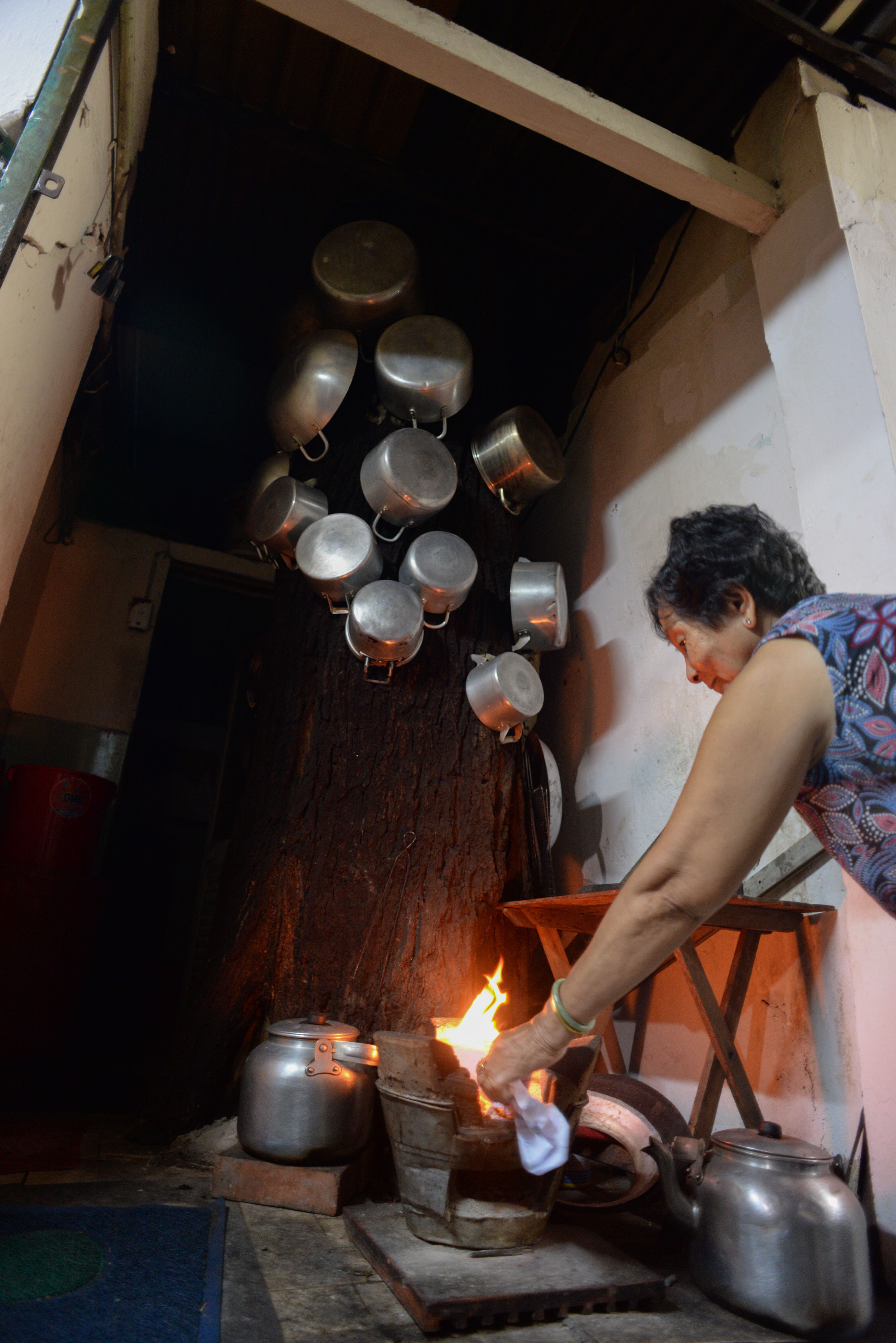 Nha om cay co thu anh 4