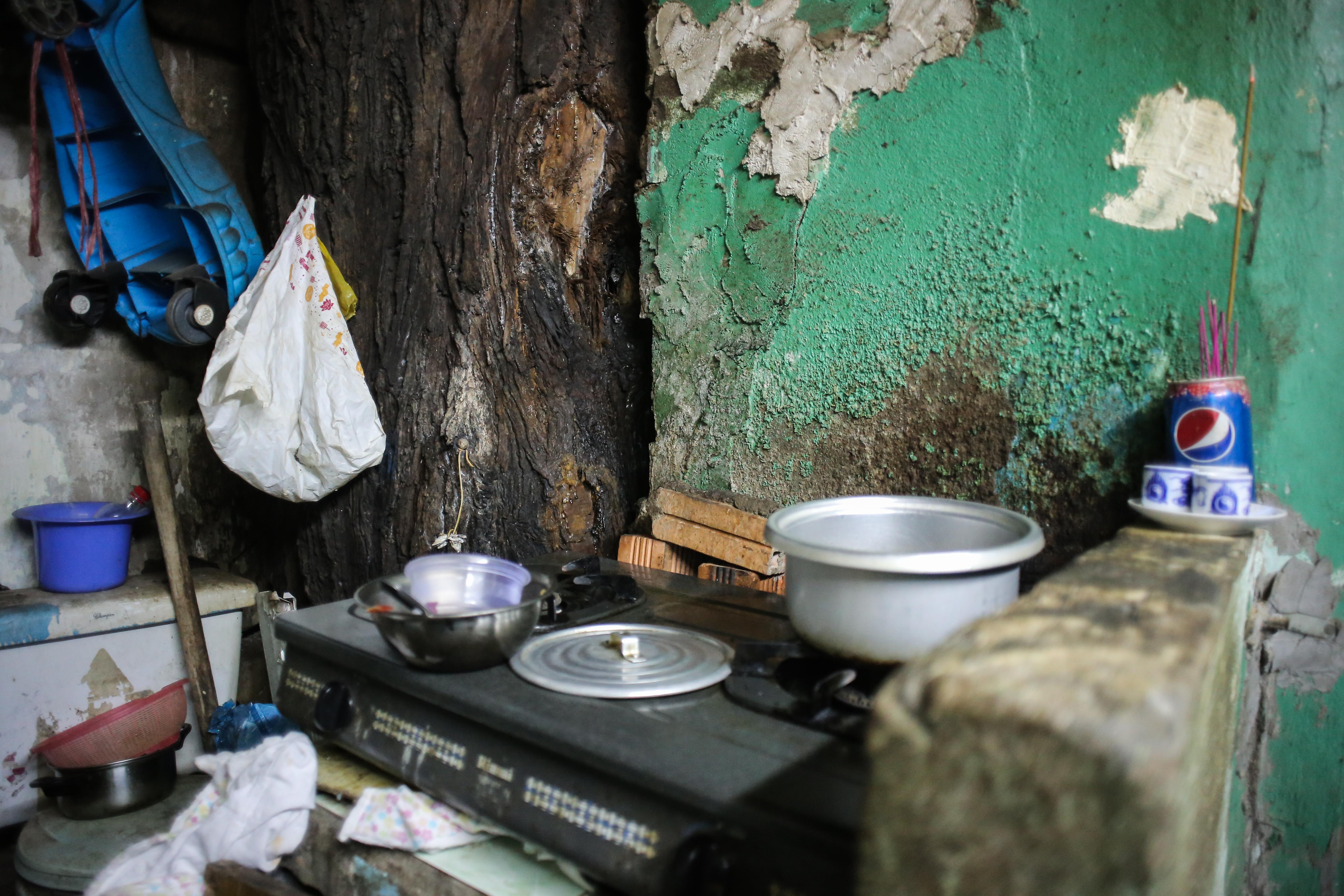 Nha om cay co thu anh 6