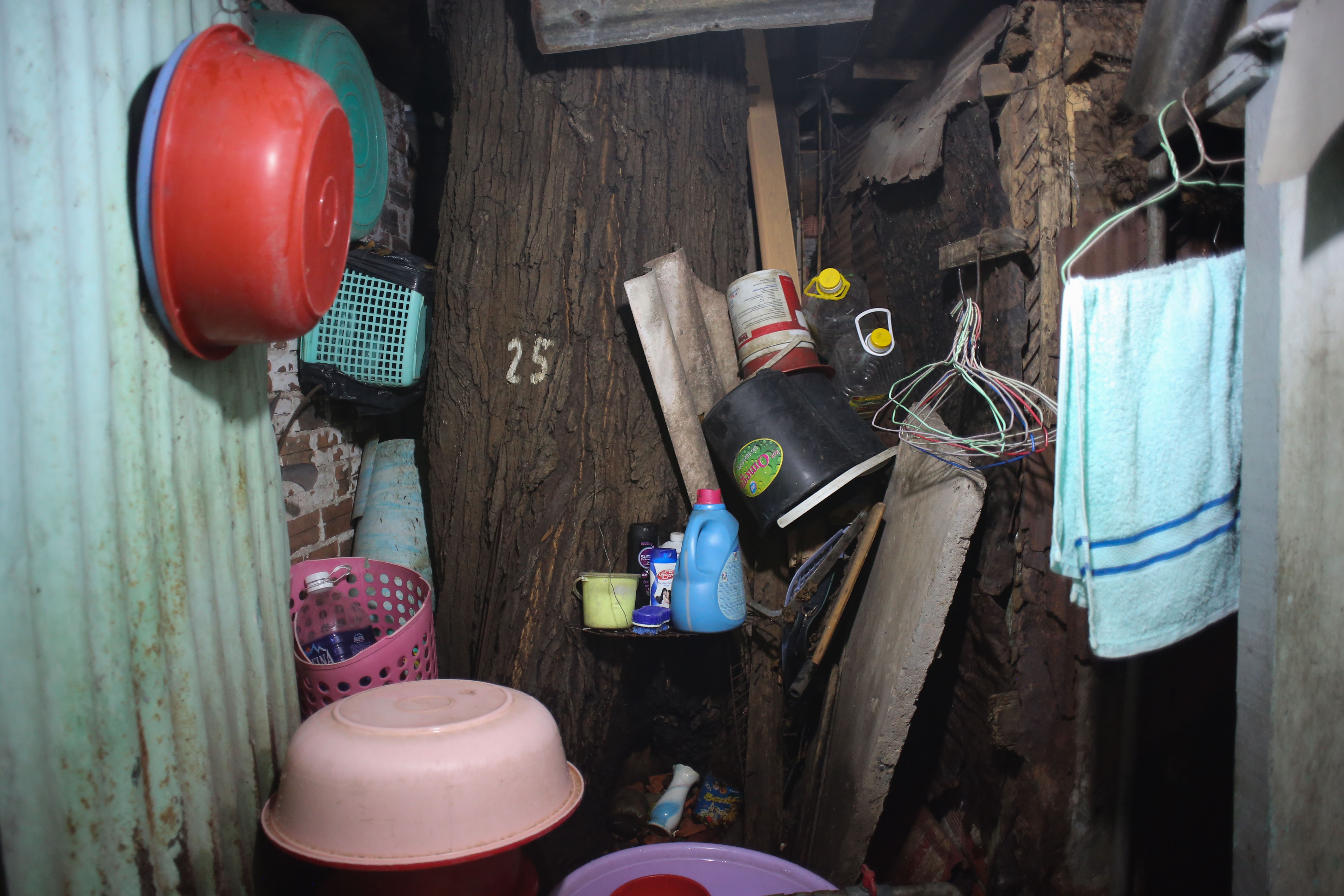 Nha om cay co thu anh 8