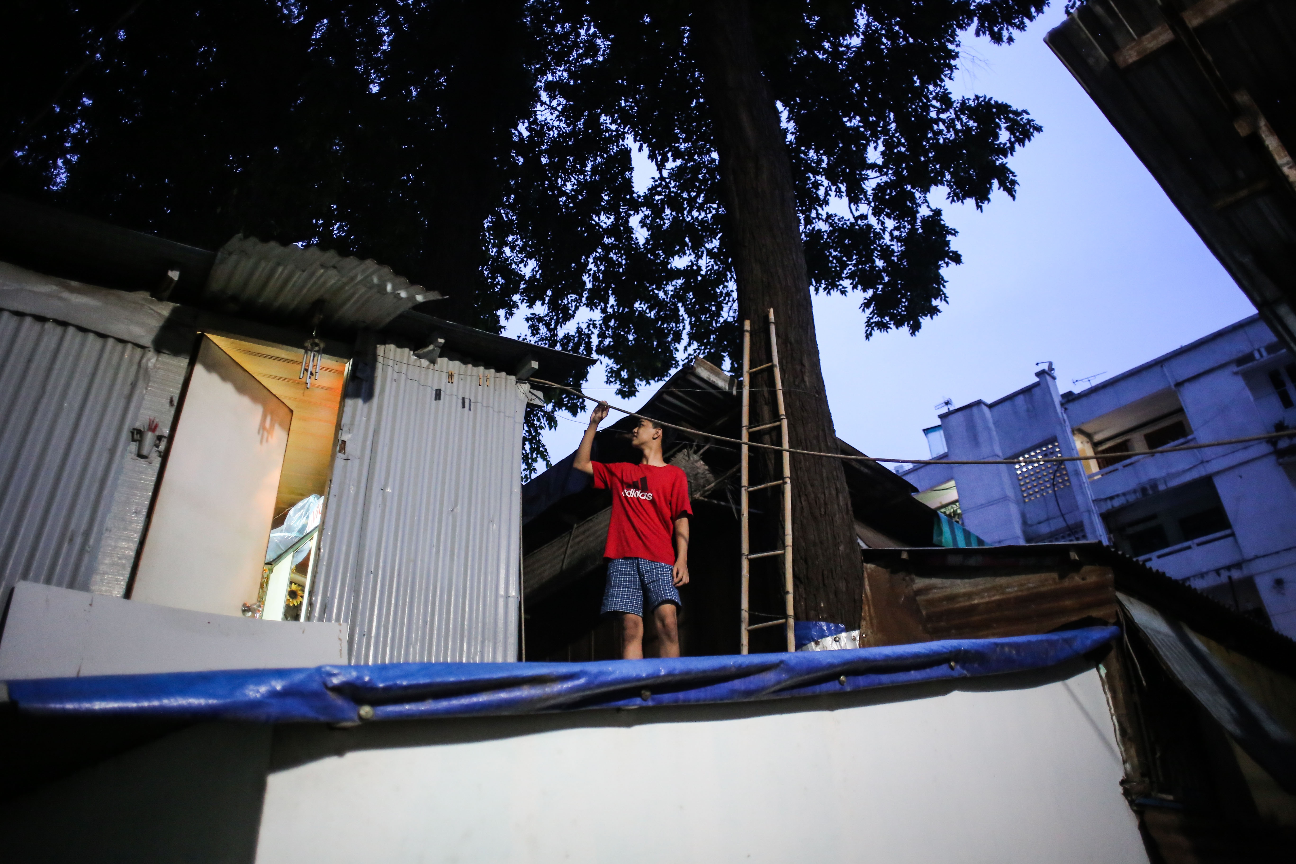 Nha om cay co thu anh 10