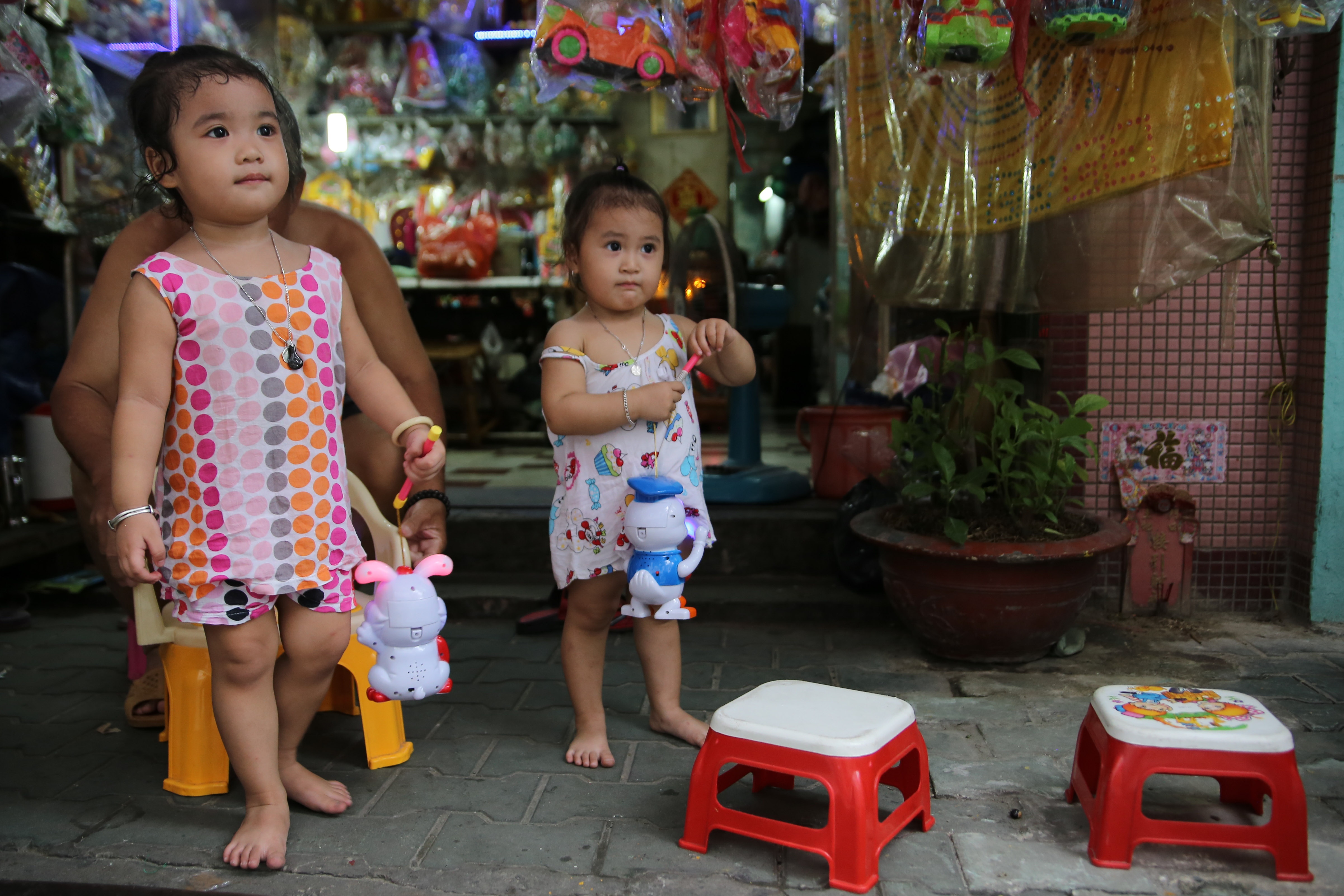 Lang long den Phu Binh anh 12