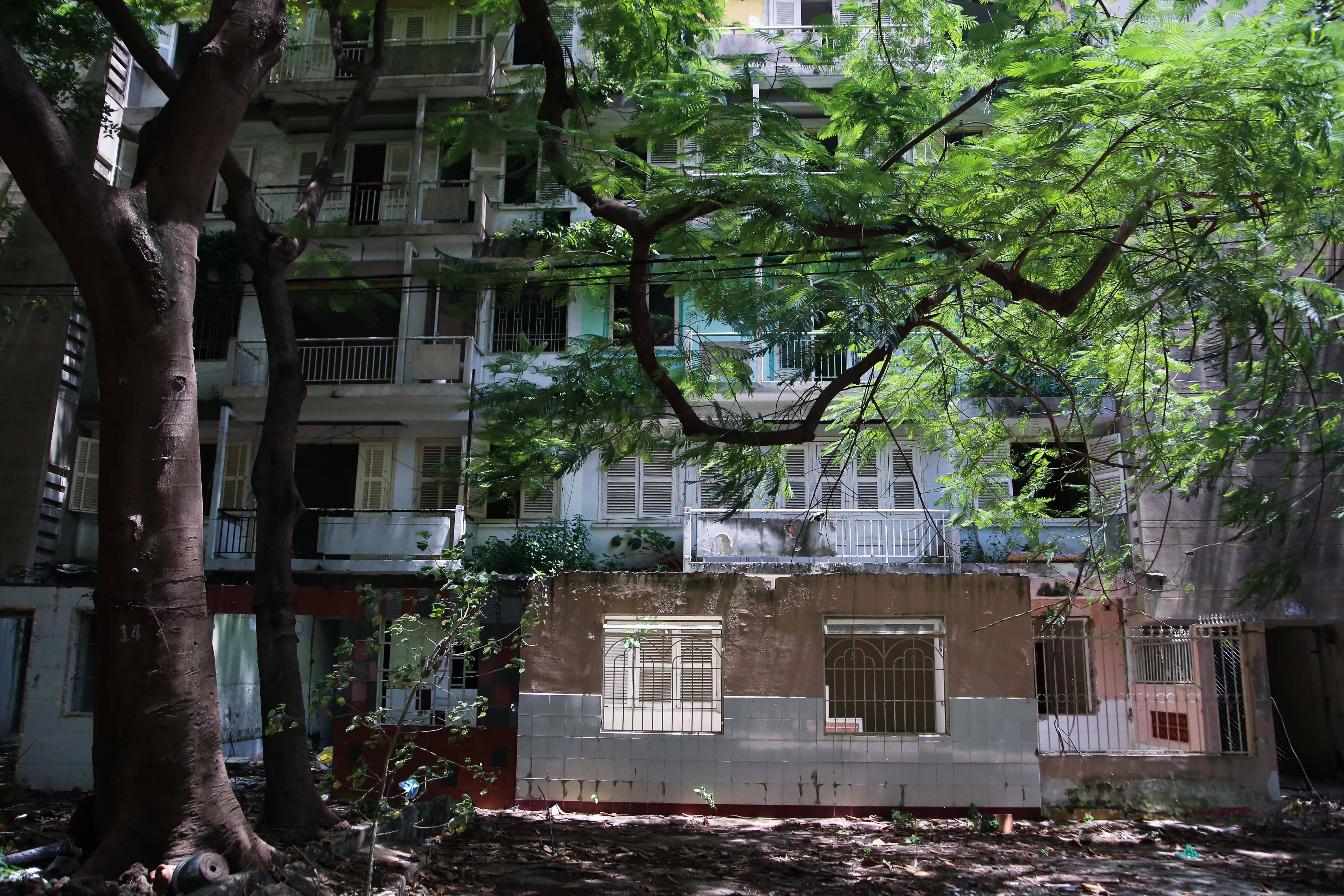 Cu xa Thanh Da rung ron anh 1