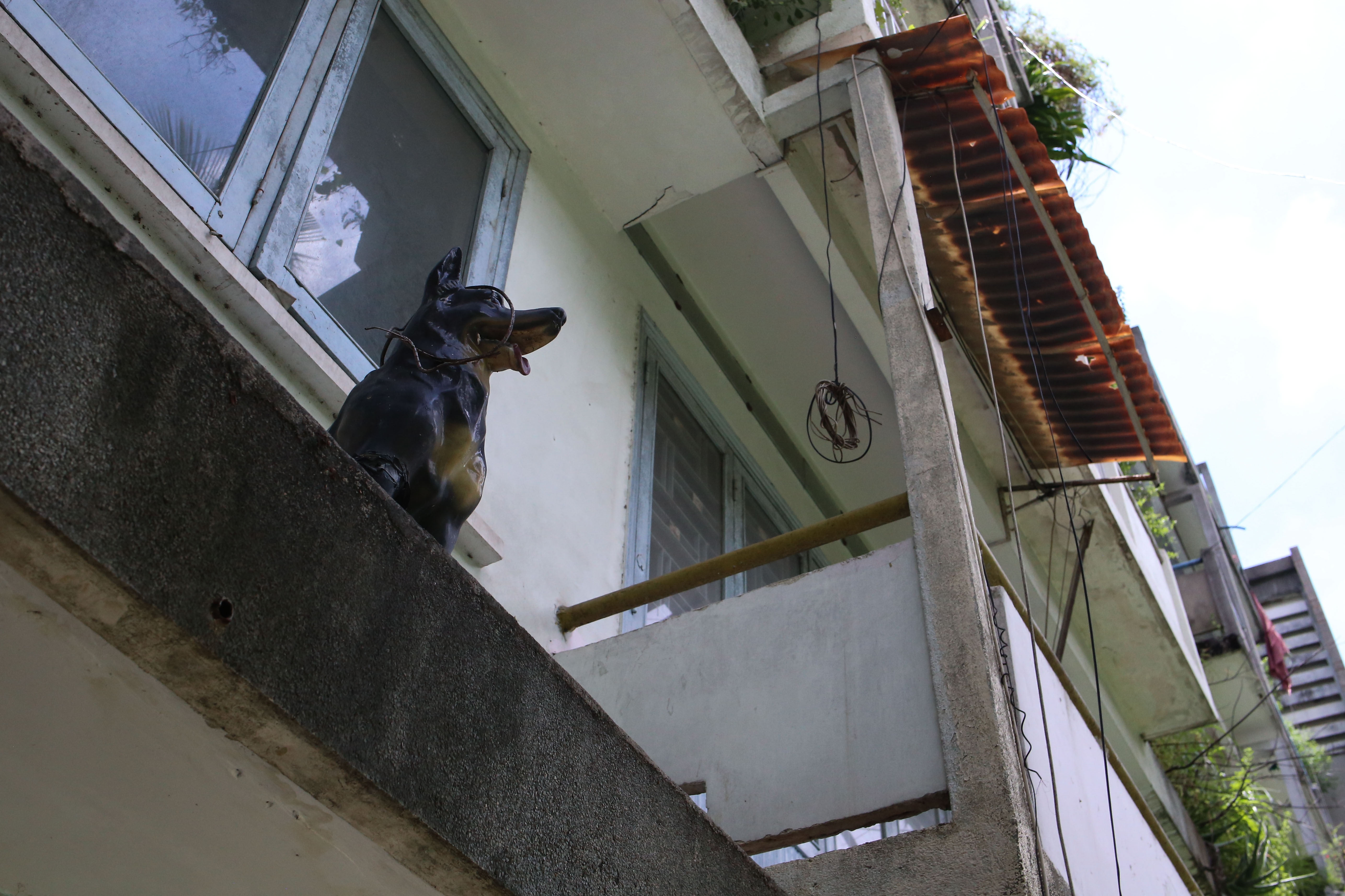 Cu xa Thanh Da rung ron anh 10