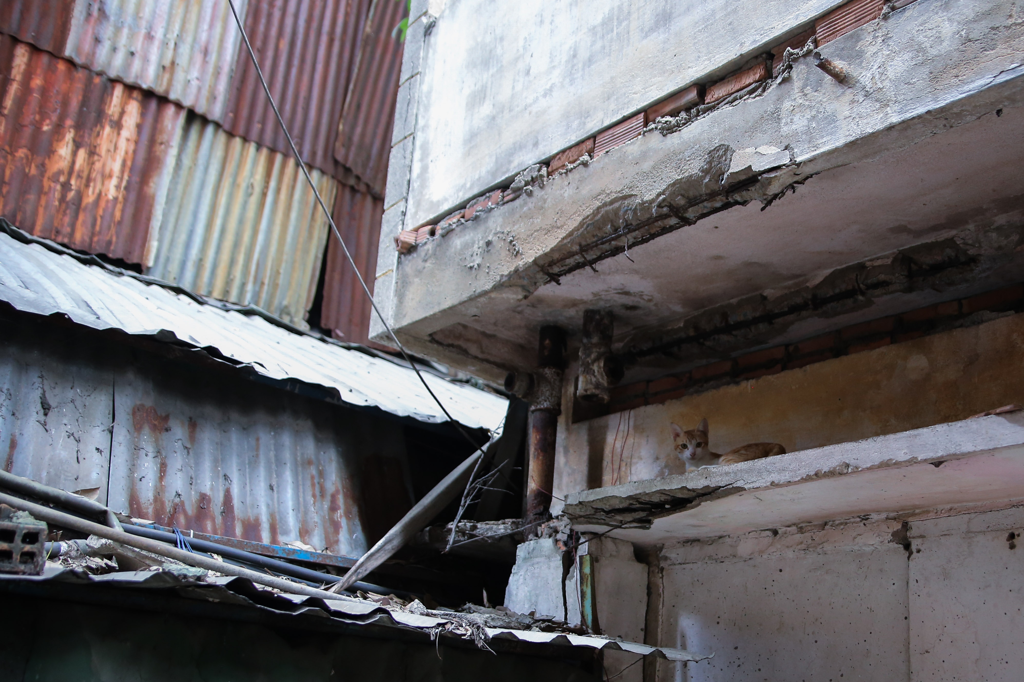 Cu xa Thanh Da rung ron anh 12