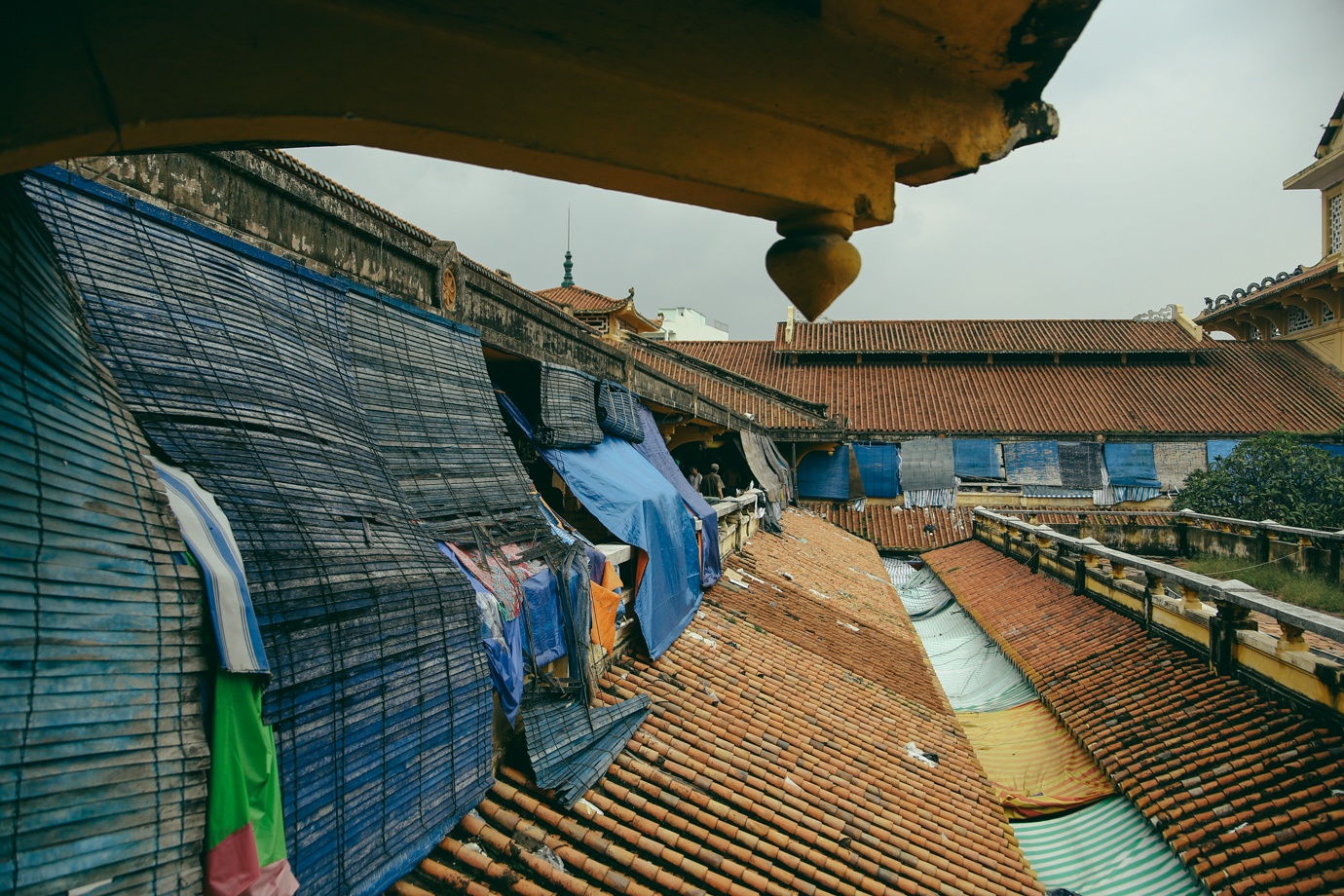 Trung tu Cho Binh Tay anh 9