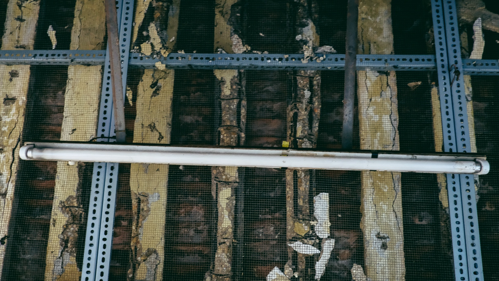 Trung tu Cho Binh Tay anh 10