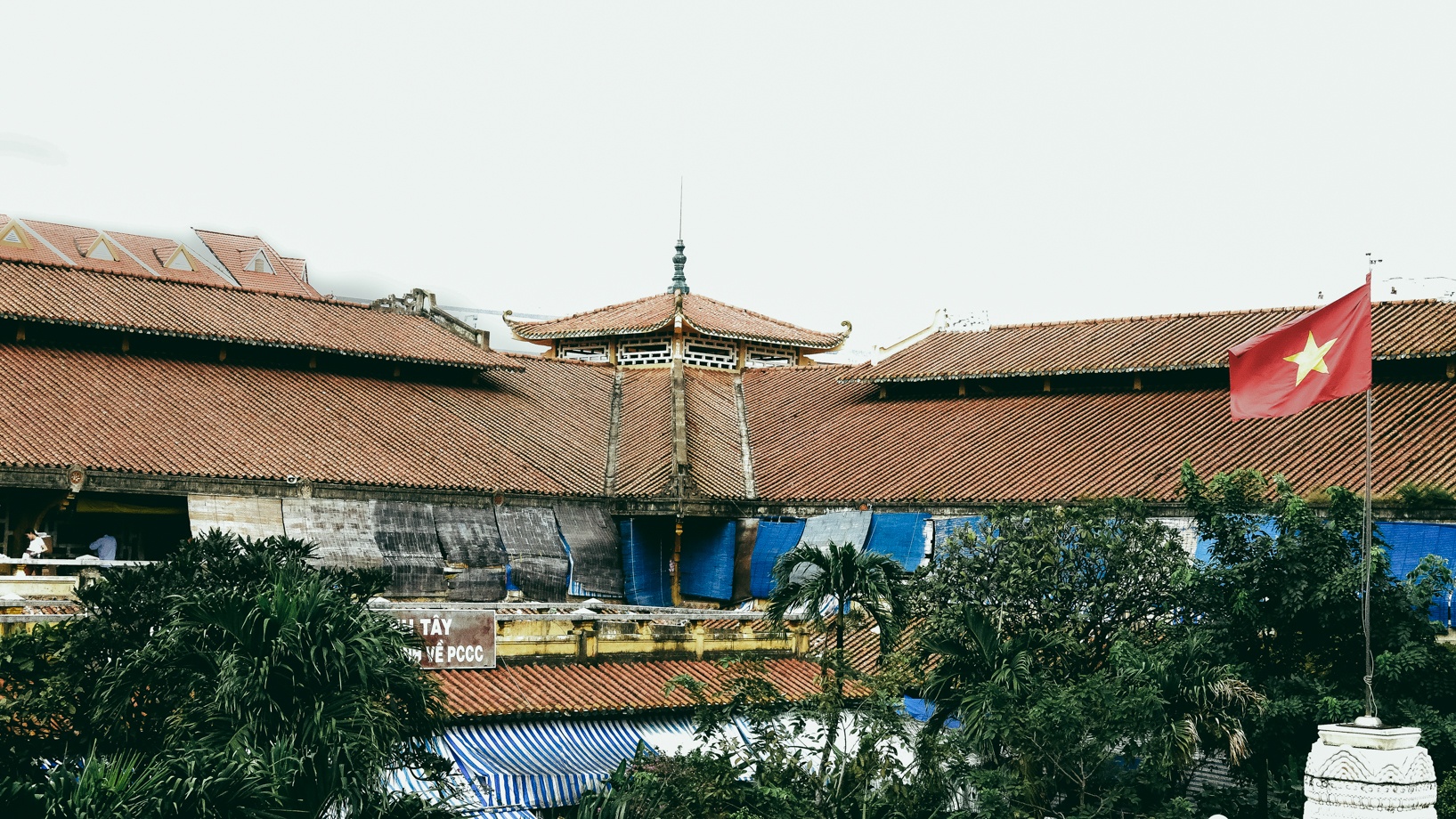 Trung tu Cho Binh Tay anh 2