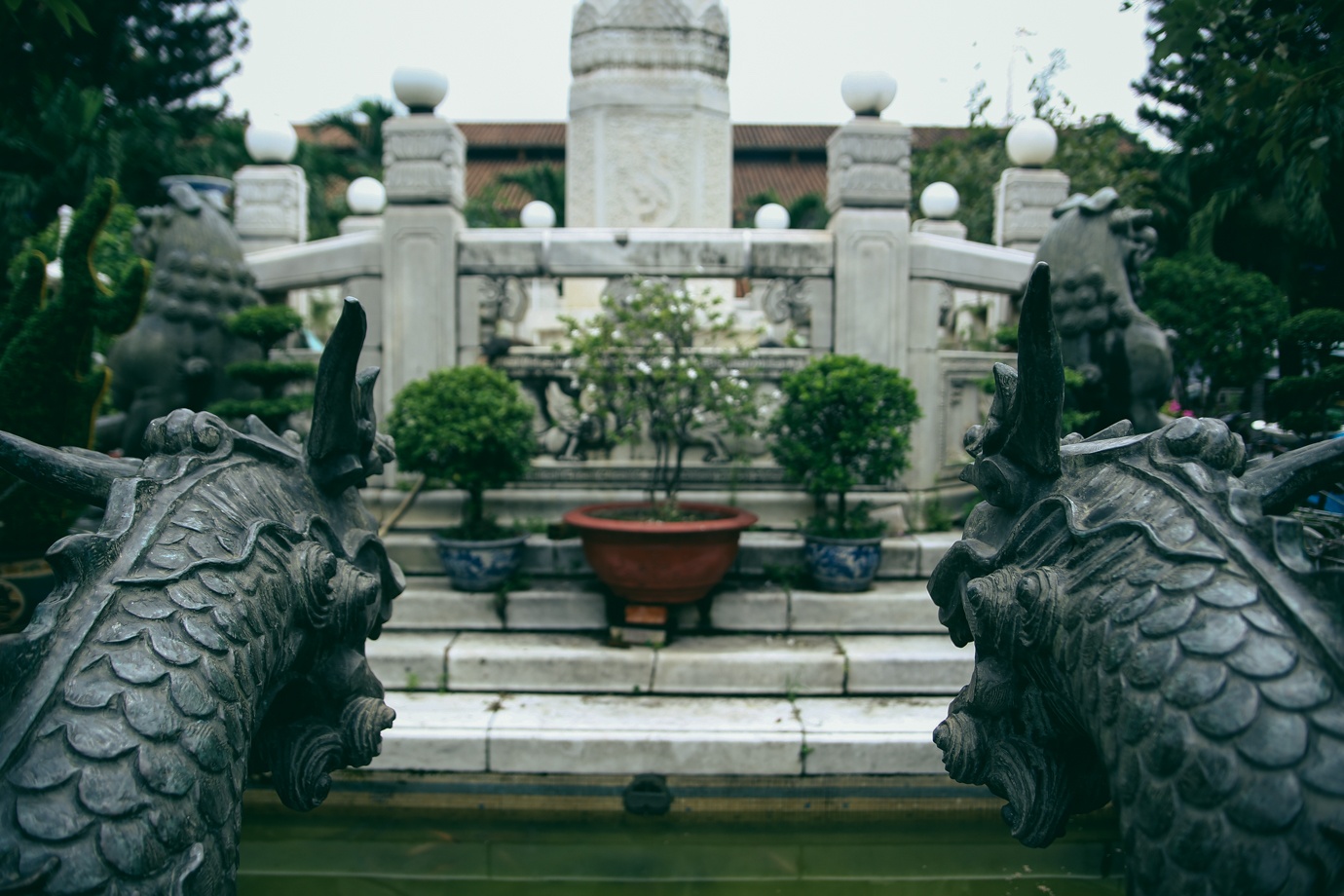 Trung tu Cho Binh Tay anh 6