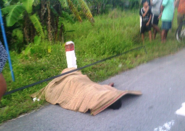 Nguoi dan ong nam chet ben quoc lo hinh anh