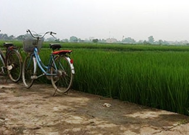 Nhau say ngu ngoai bo ruong, thieu nu bi cuong hiep hinh anh