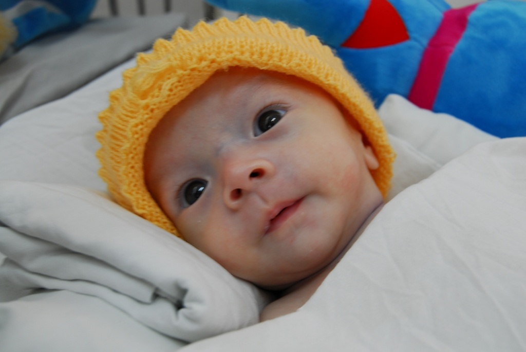 Nu Viet kieu muon nhan nuoi be trai khoi ngo bi me bo roi hinh anh