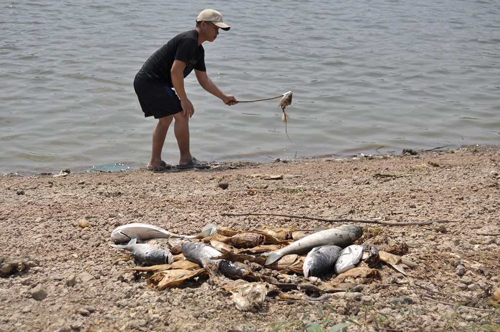 Vot hang chuc tan xac ca bo len bo hinh anh