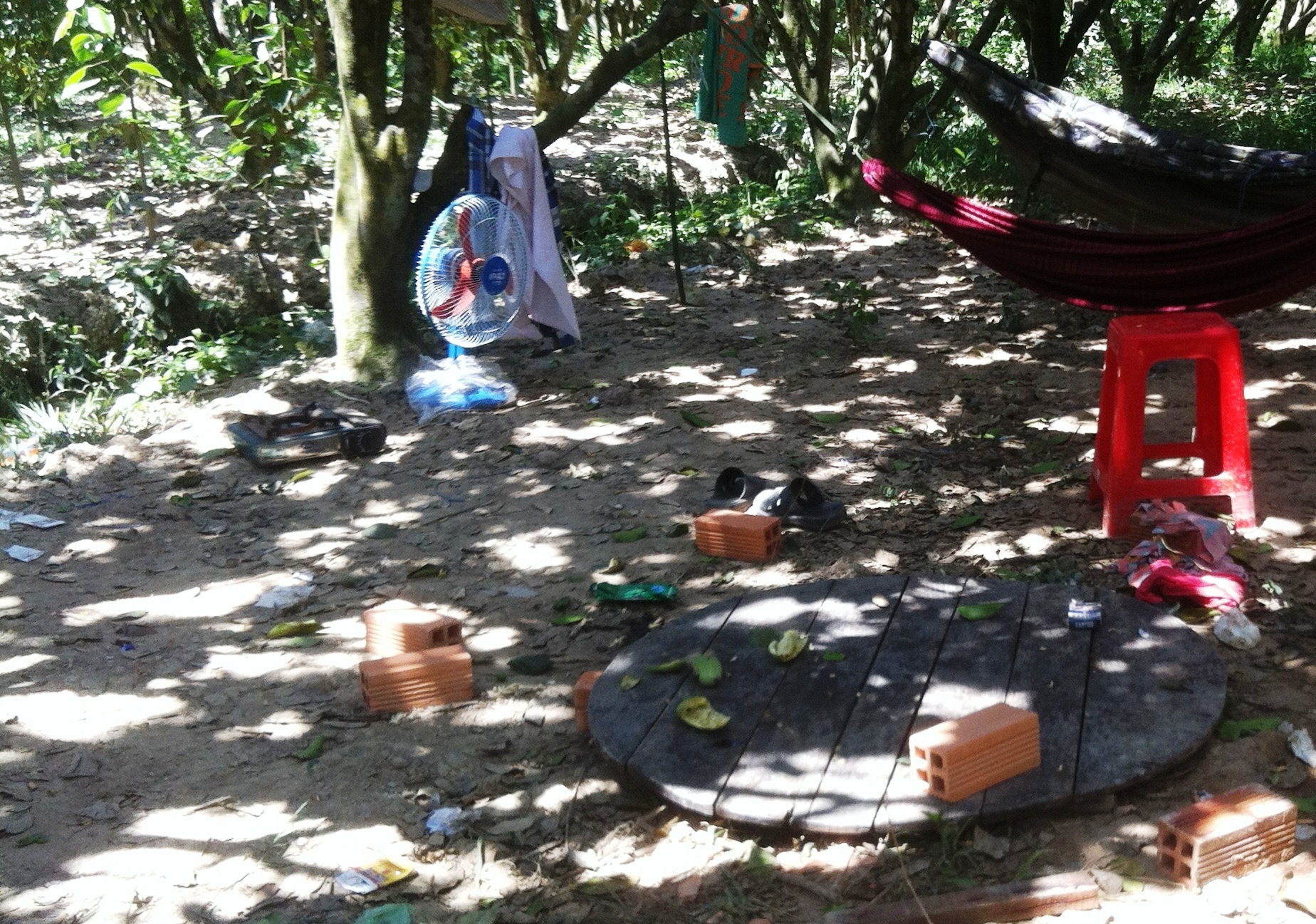 Cam bua danh chan thuong so nao hang xom hinh anh