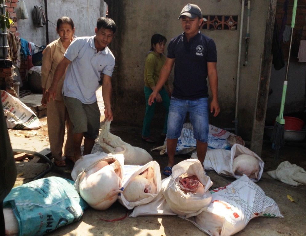 Gom heo chet xe thit ban vao lo che bien hinh anh