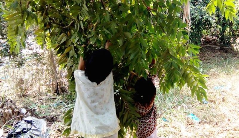 Vo bo di, cha xam hai tinh duc 2 con gai hinh anh