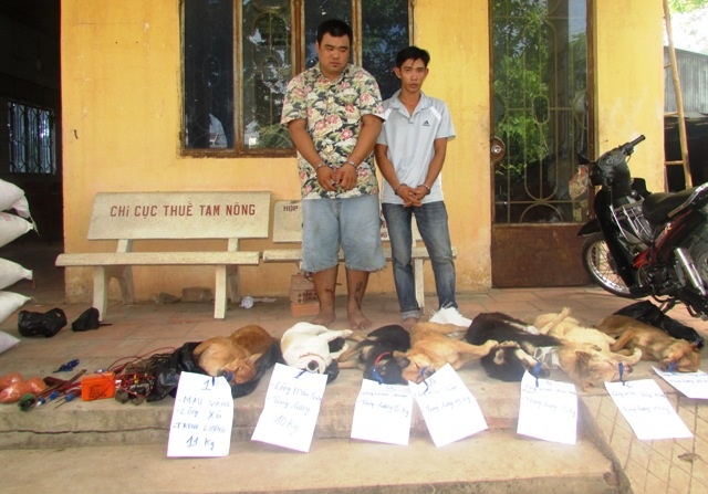 Hai 'cau tac' ban chet 7 con cho trong dem hinh anh