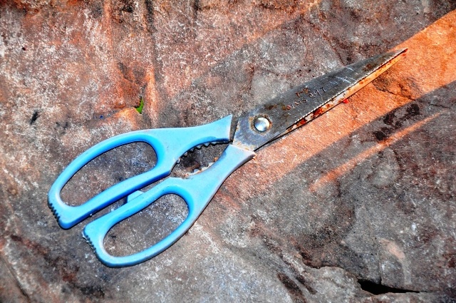 Cam keo doat mang con no trong quan ca phe hinh anh