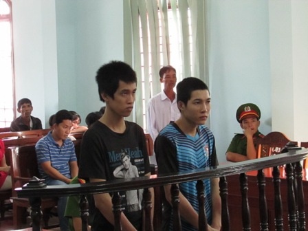 Den xin giang hoa bi dam chet hinh anh