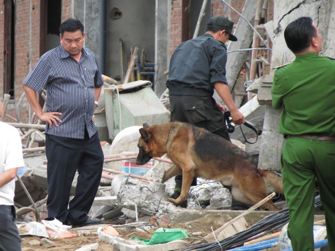 Chó nghiệp vụ được đưa đến hiện trường để tham gia giải cứu những nạn nhân còn mắc kẹt. Ảnh: Vietnamnet.