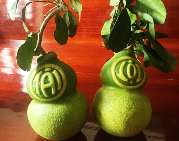 Buoi ho lo in chu gia cao van khong co de ban hinh anh