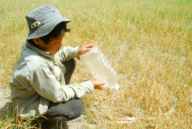 Nuoc nhiem man bao vay xu dua Ben Tre hinh anh