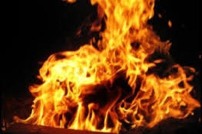 Dai gia ve so o An Giang mua xang ve tu thieu hinh anh