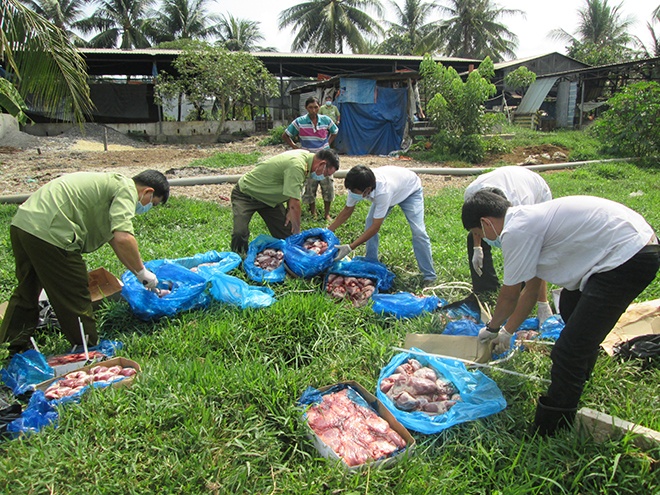 Nua tan tim, da lon hoi thoi cho cung cap quan an hinh anh