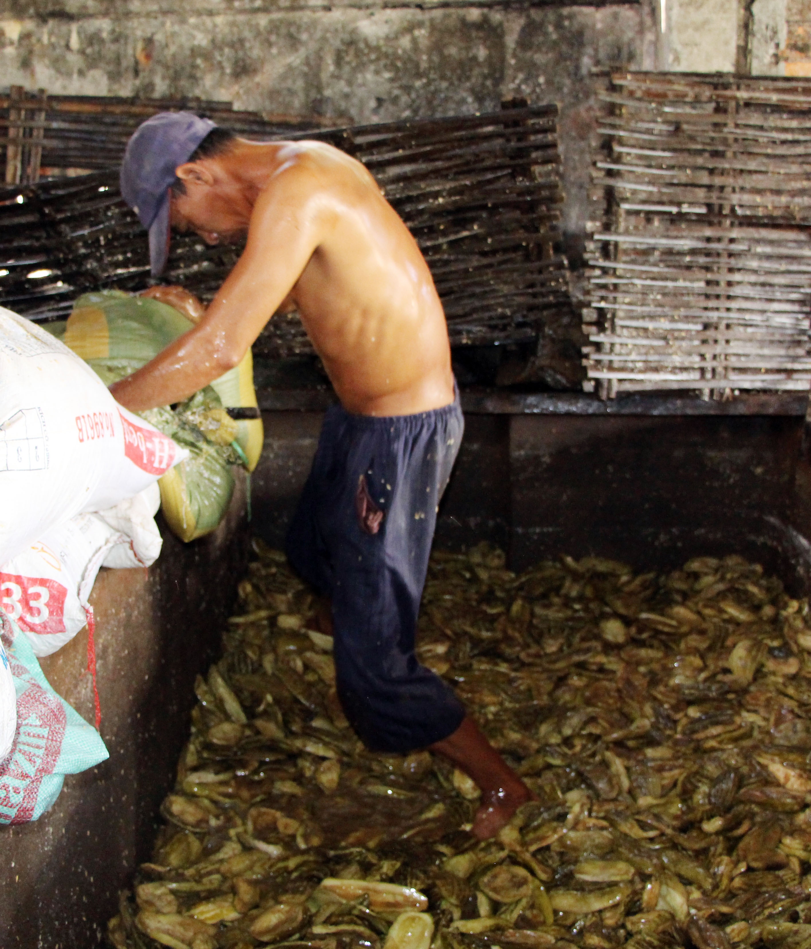 doi bo luc nhuc anh 2